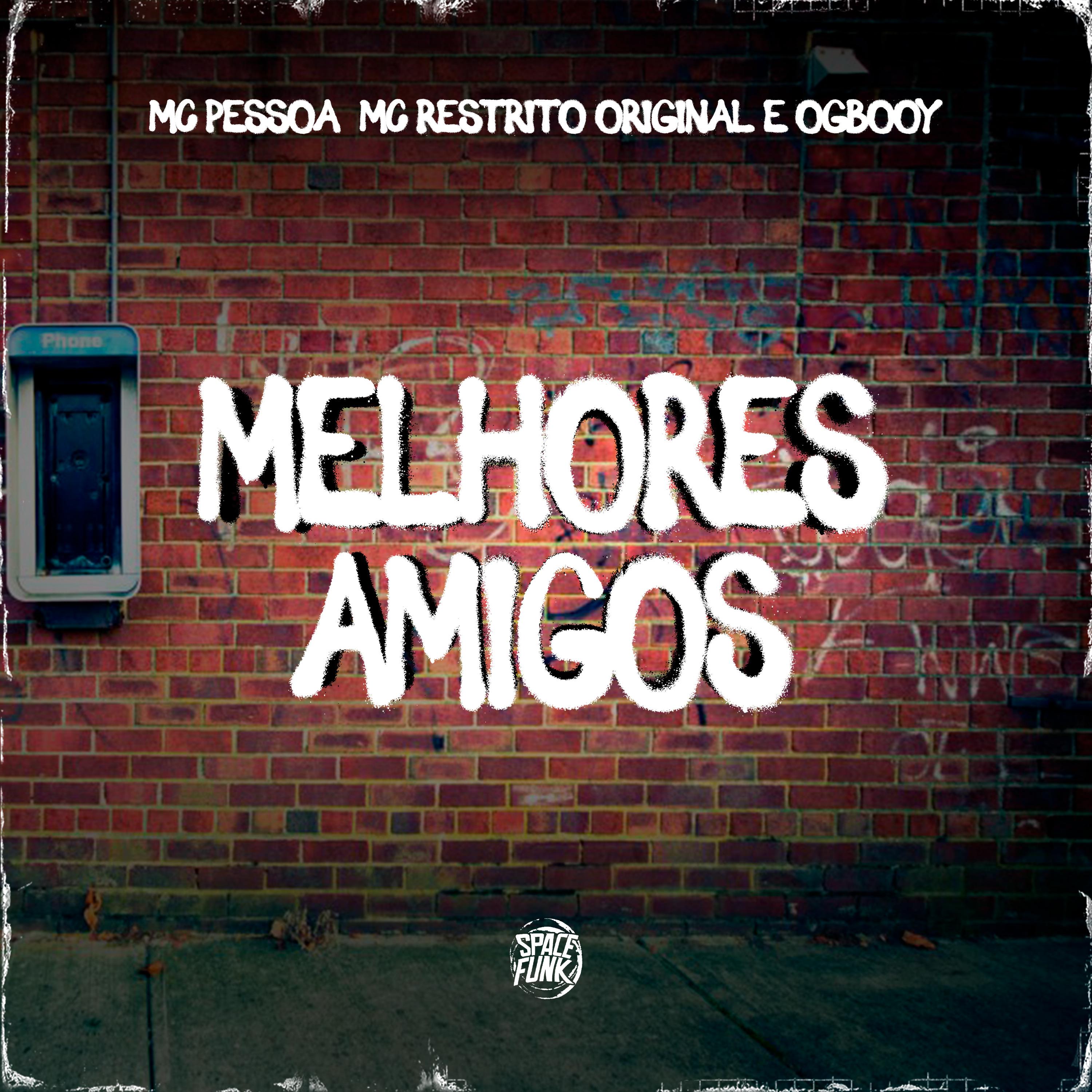 Постер альбома Melhores Amigos