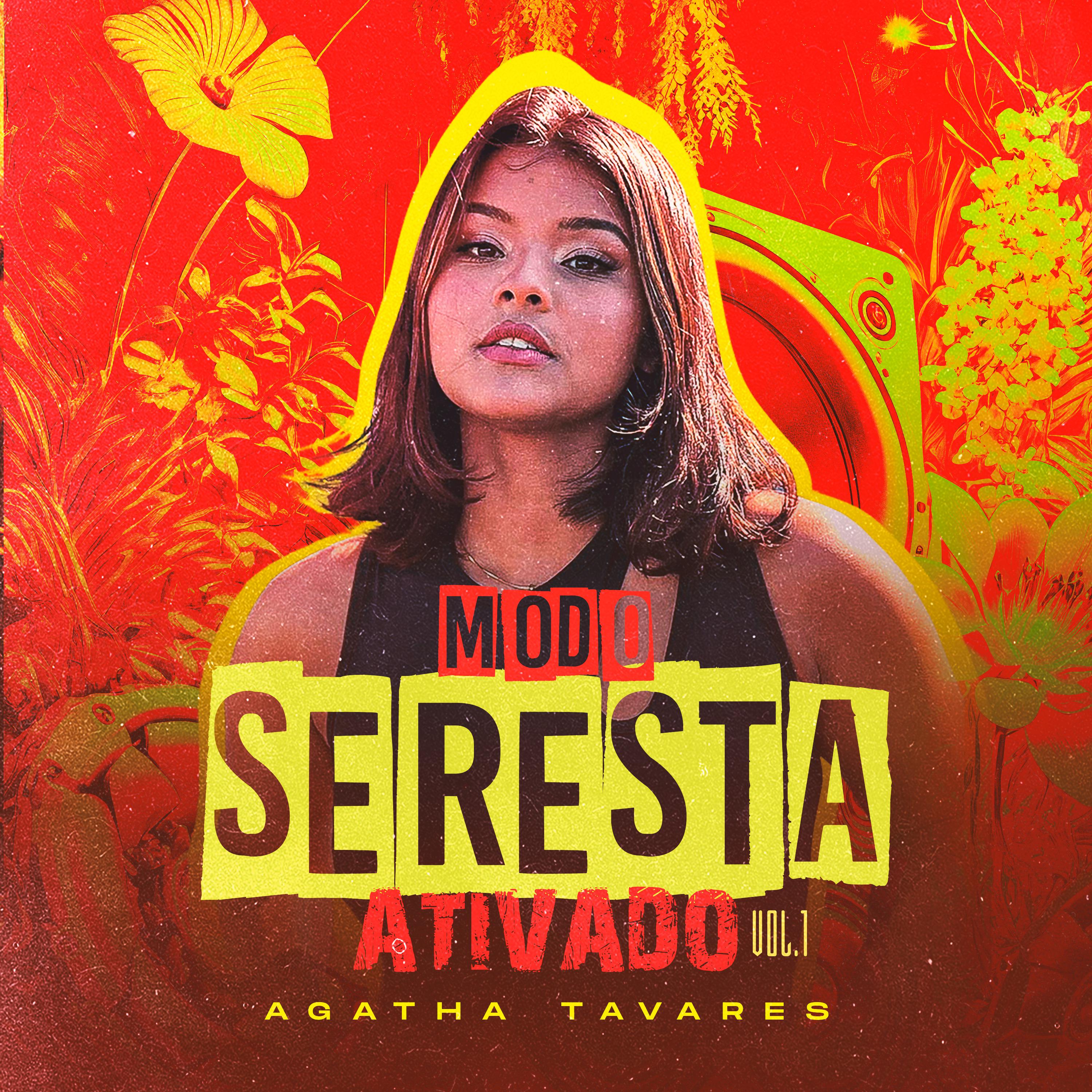 Постер альбома Modo Seresta Ativado, Vol. 1