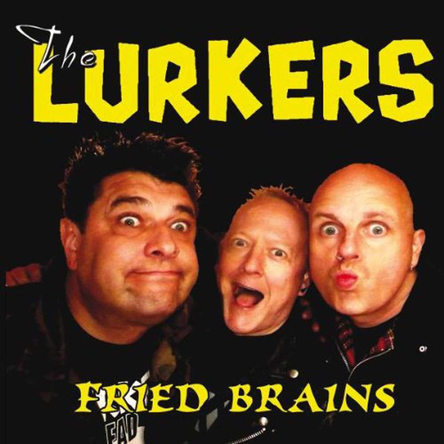 Постер альбома Fried Brains