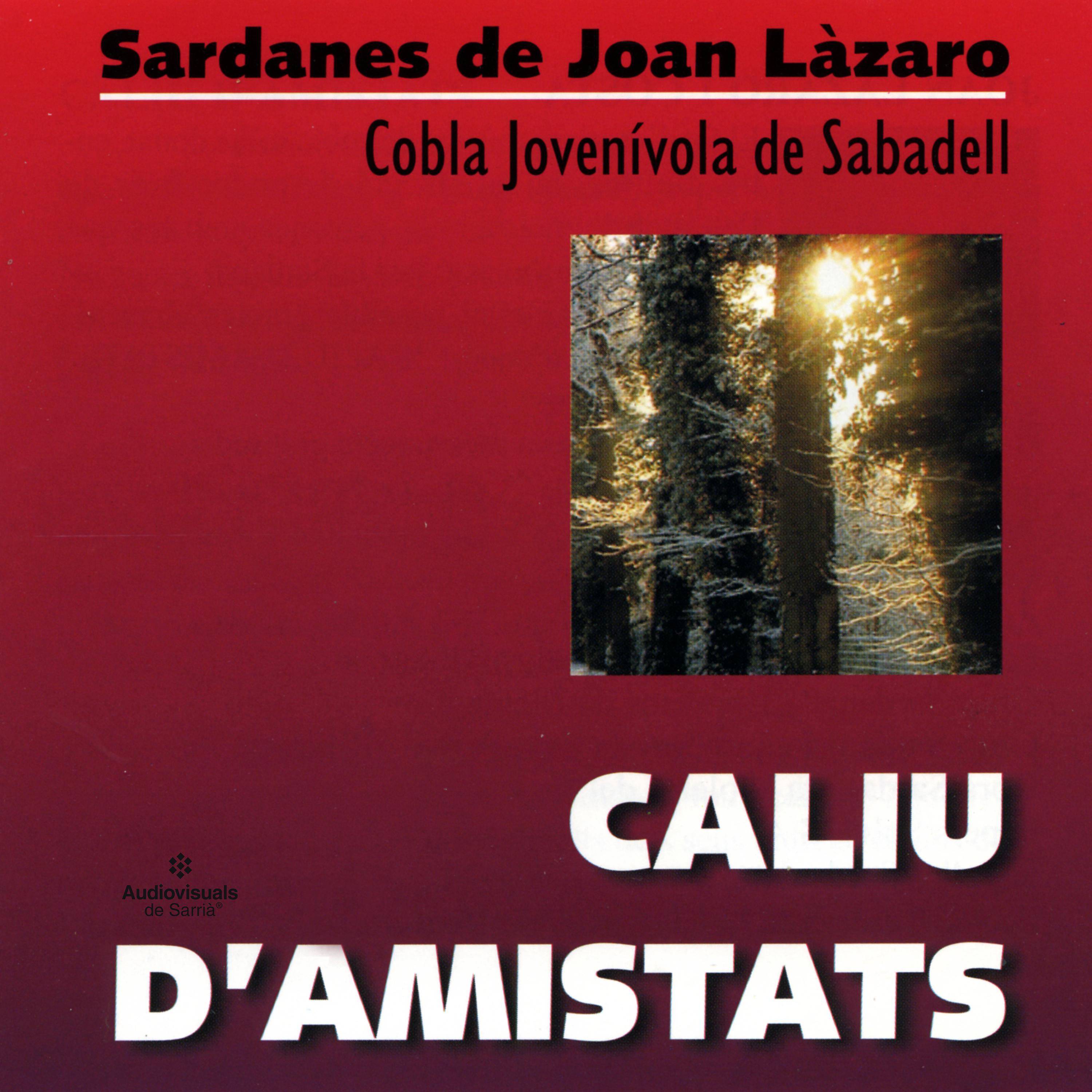 Постер альбома Caliu d'Amistats. Sardanes de Joan Làzaro