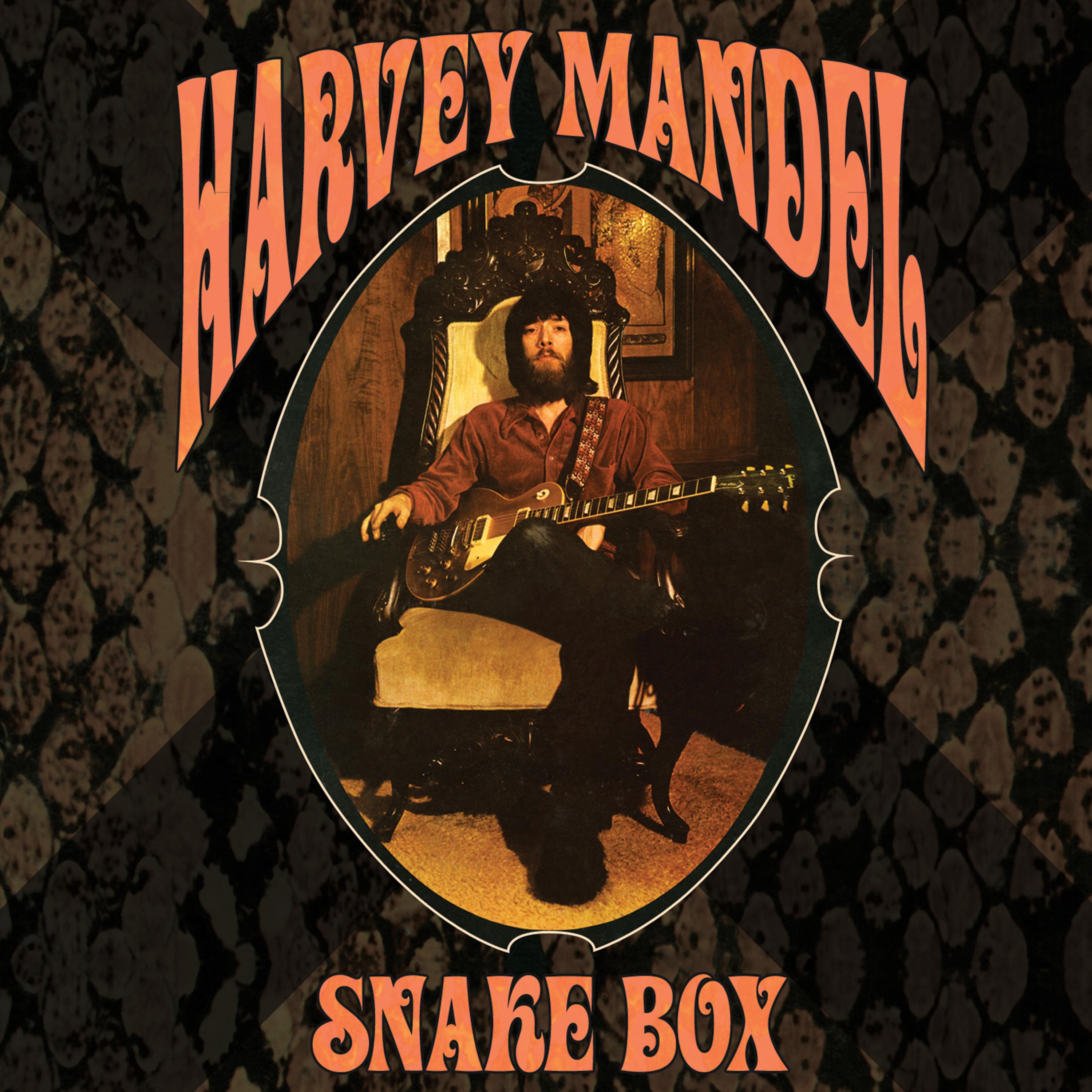 Постер альбома Snake Box