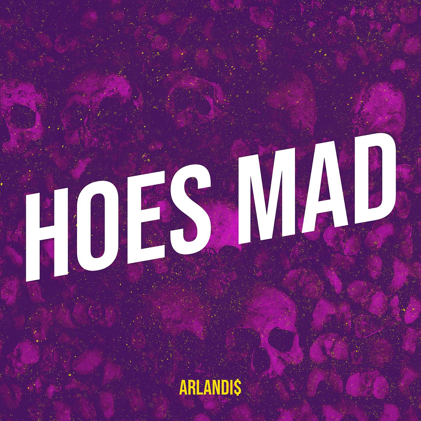 Постер альбома Hoes Mad