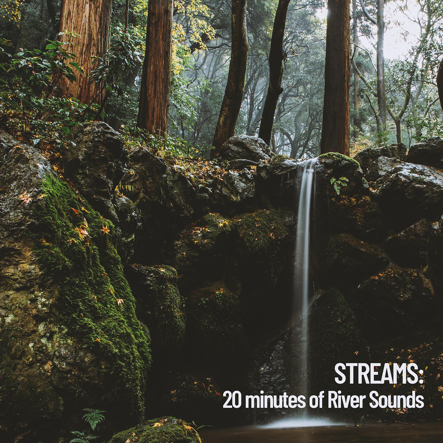 Постер альбома Streams: 20 minutes of River Sounds