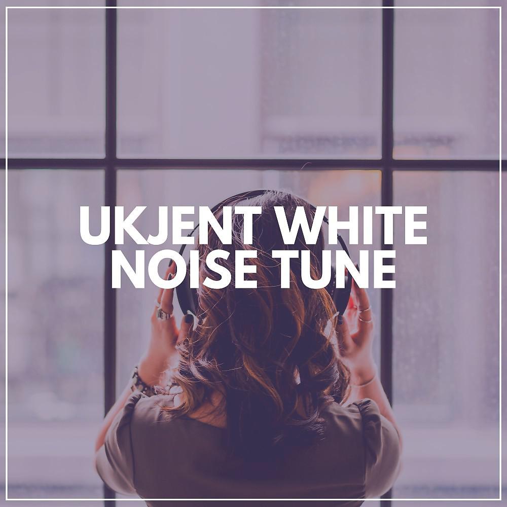 Постер альбома Ukjent White Noise Tune