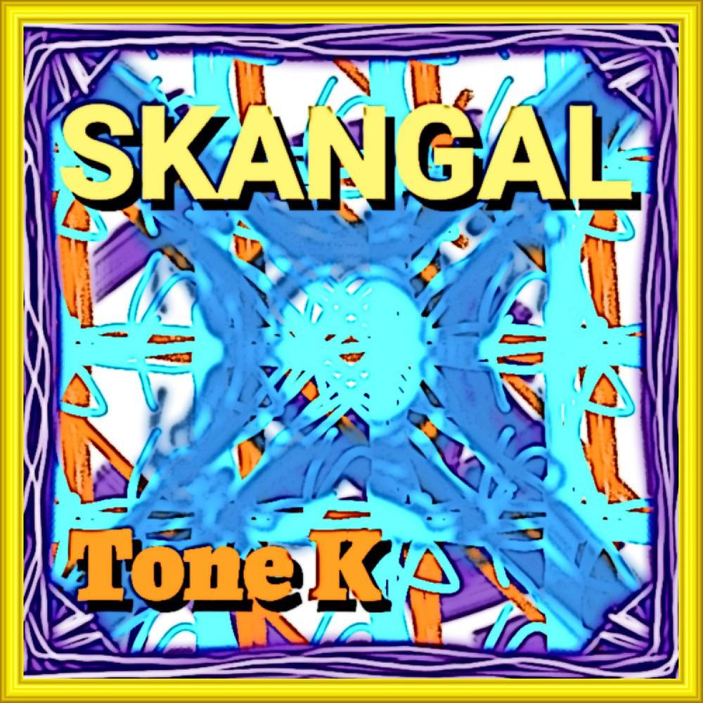 Постер альбома Tone K