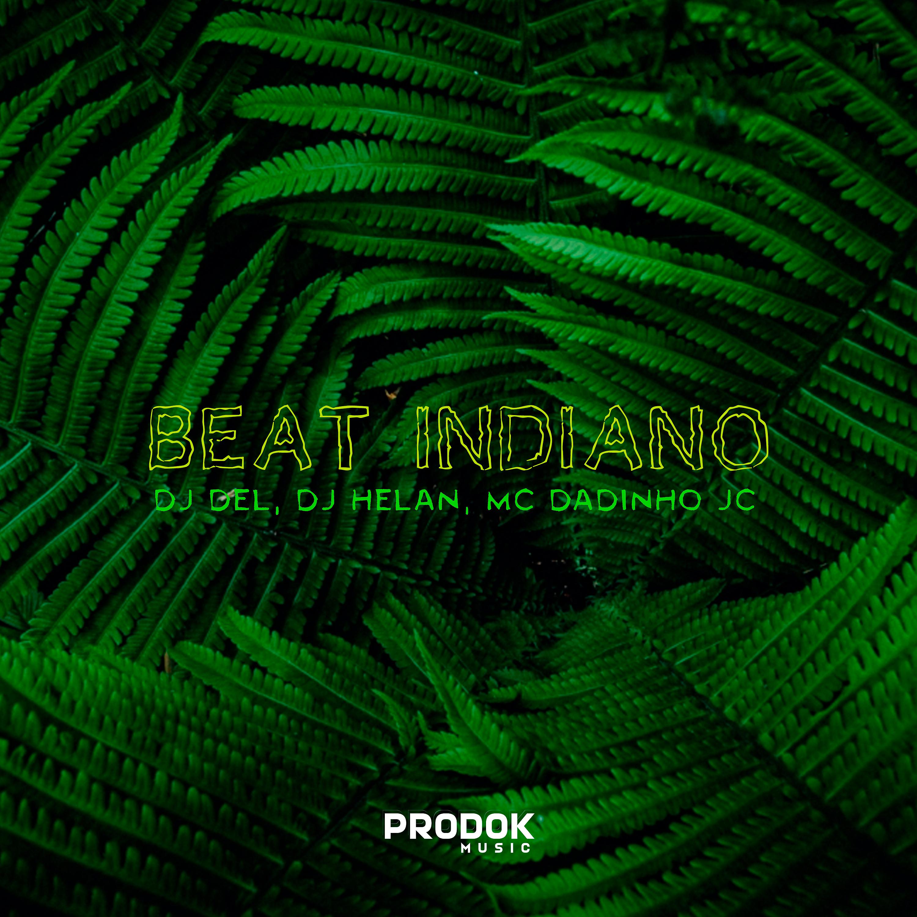 Постер альбома Beat Indiano