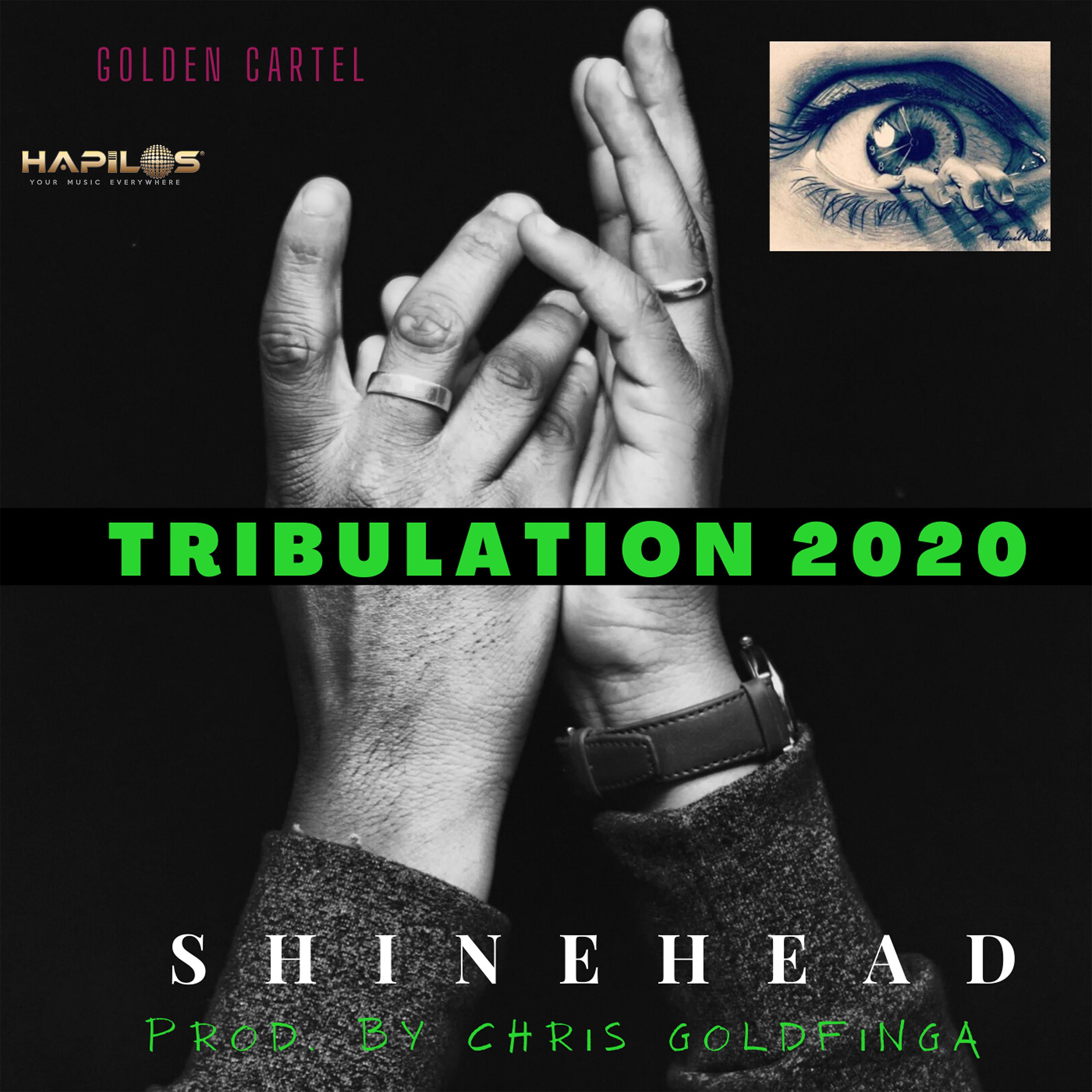 Постер альбома Truibulation 2020