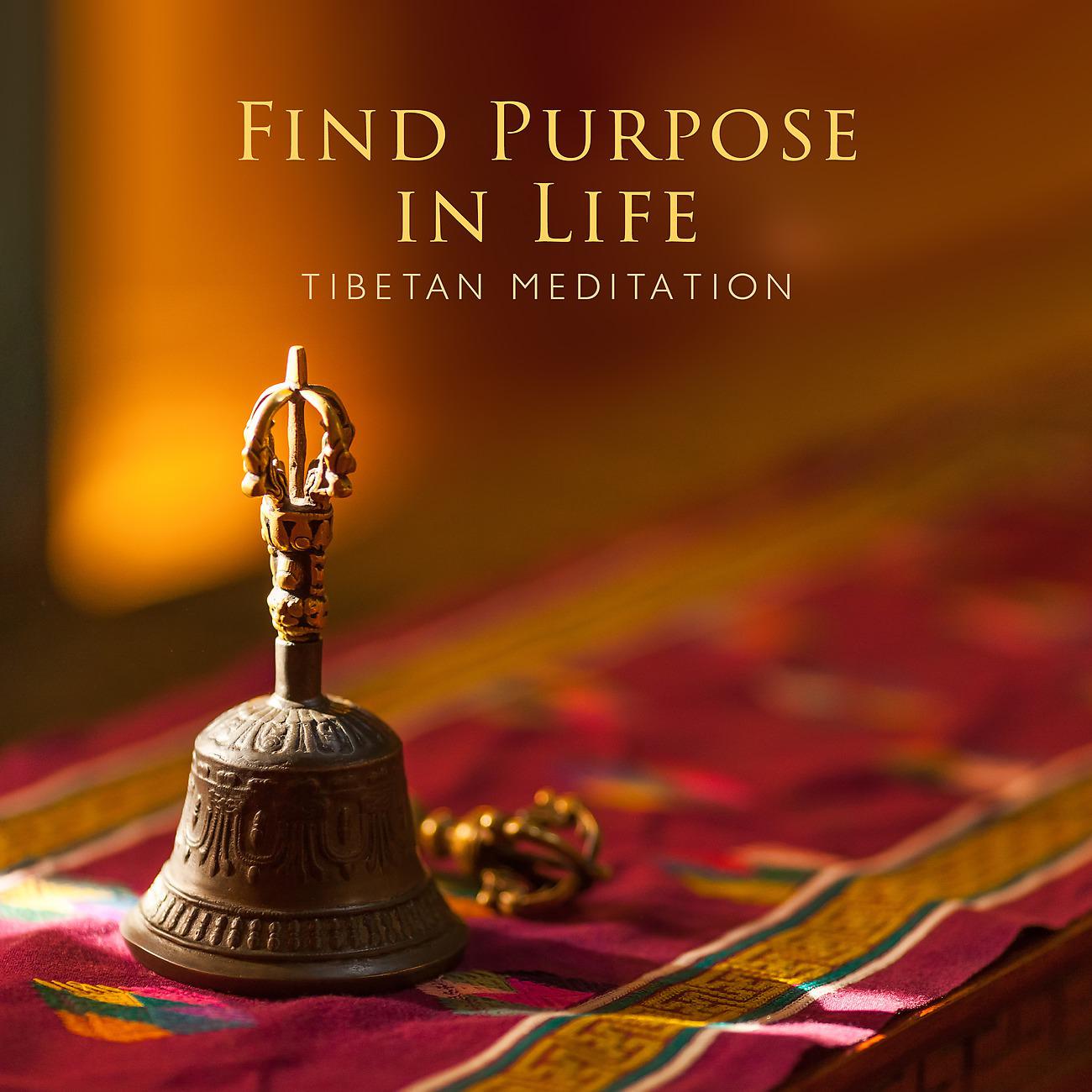Постер альбома Find Purpose in Life