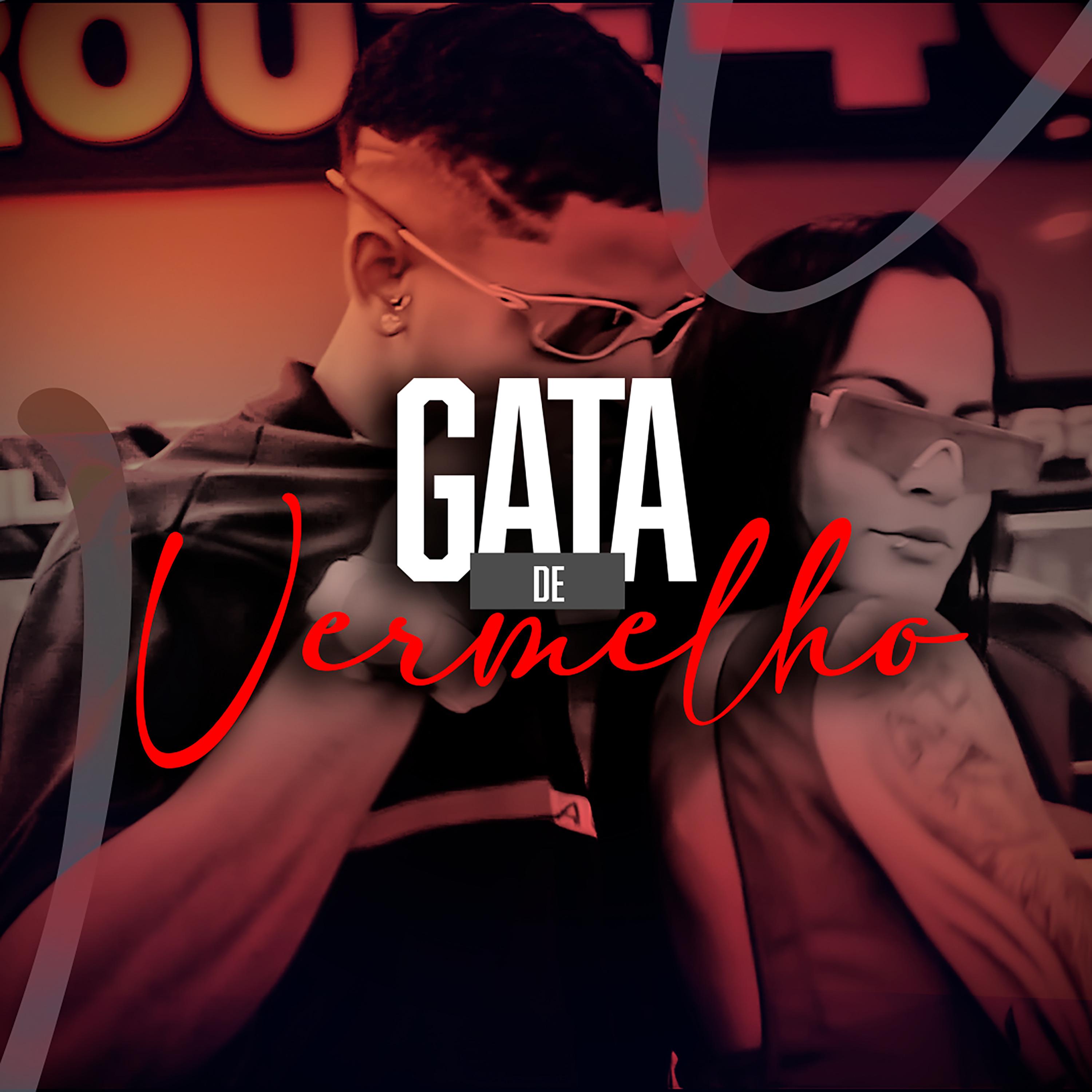 Постер альбома Gata de Vermelho