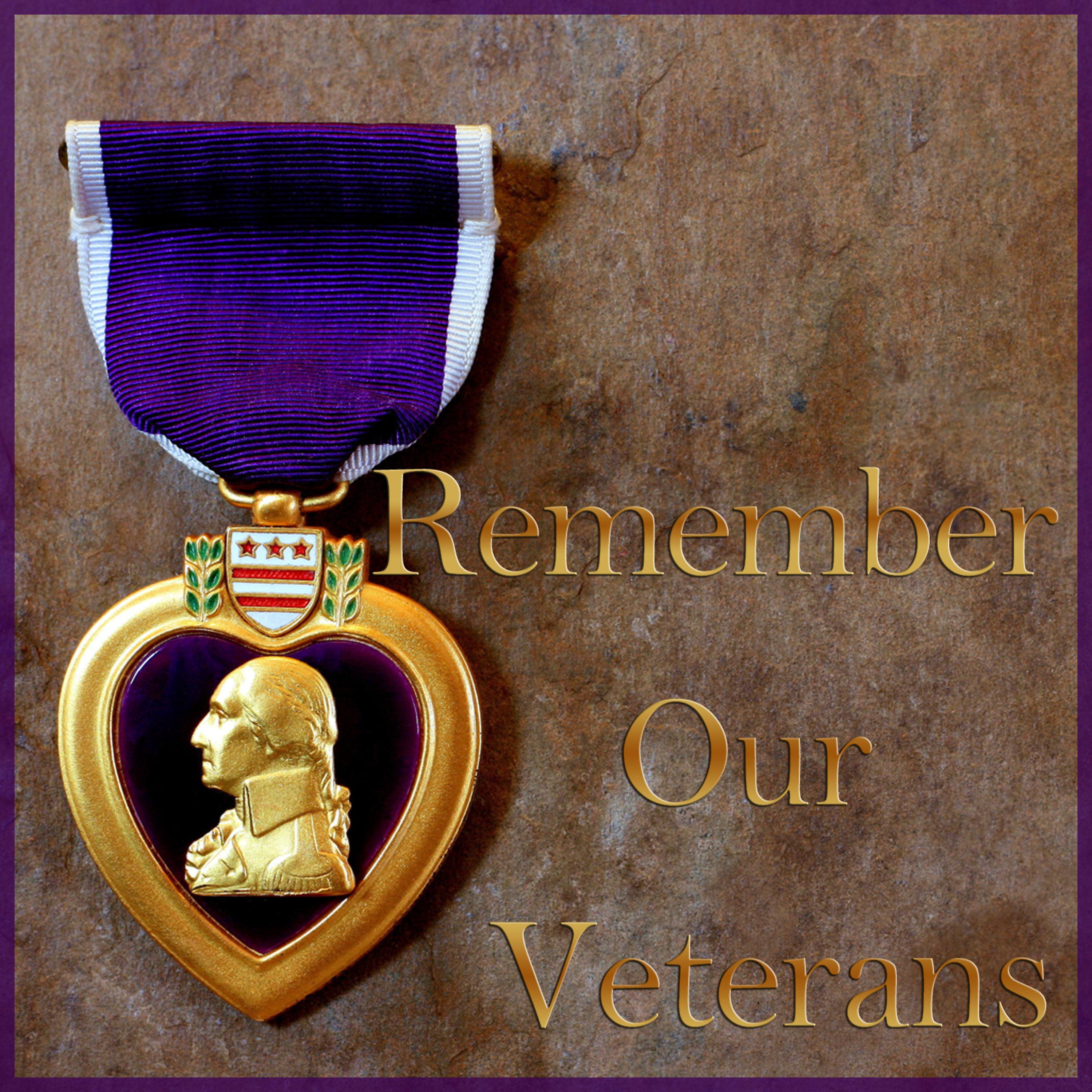 Постер альбома Remember Our Veterans