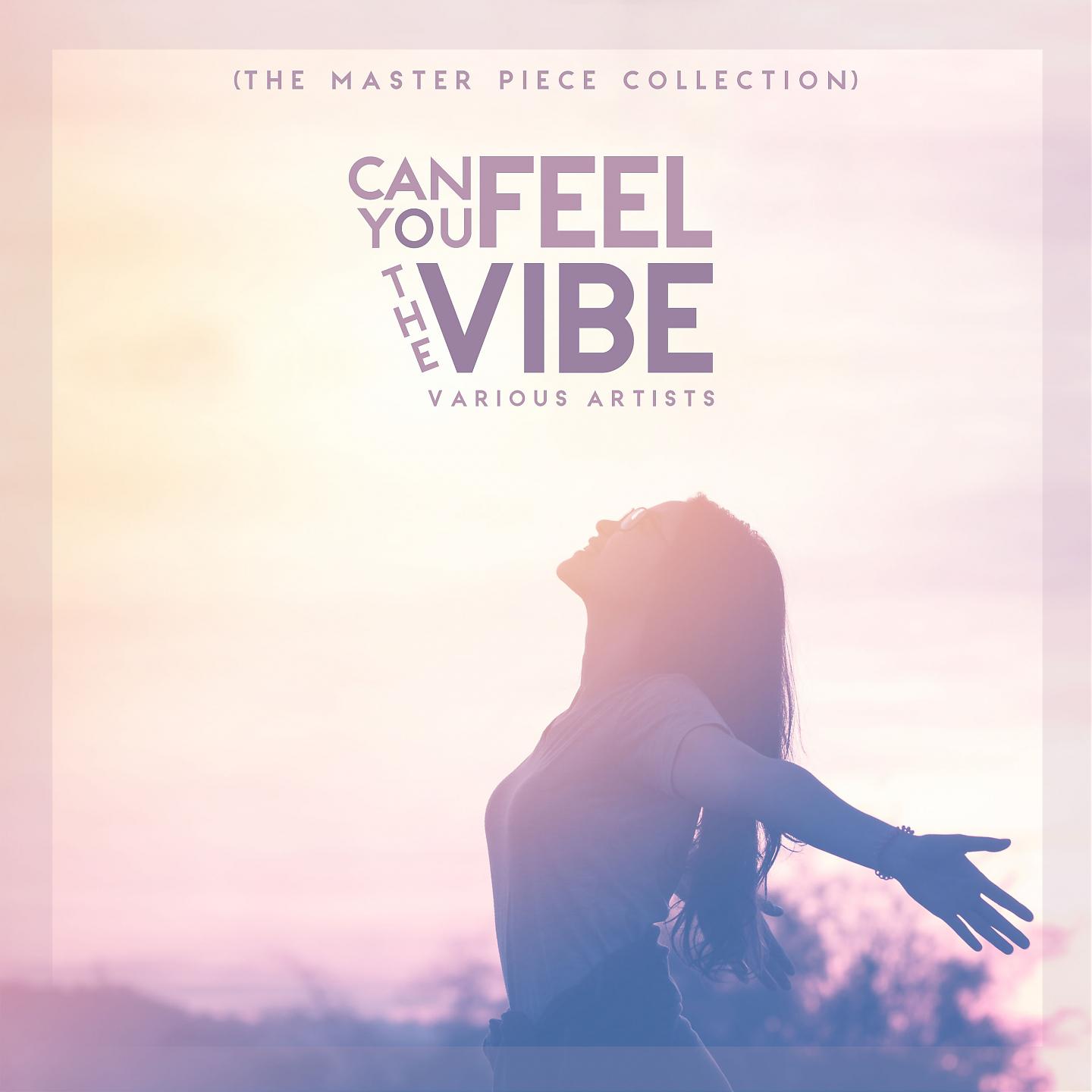Постер альбома Can You Feel the Vibe (The Master Piece Collection)