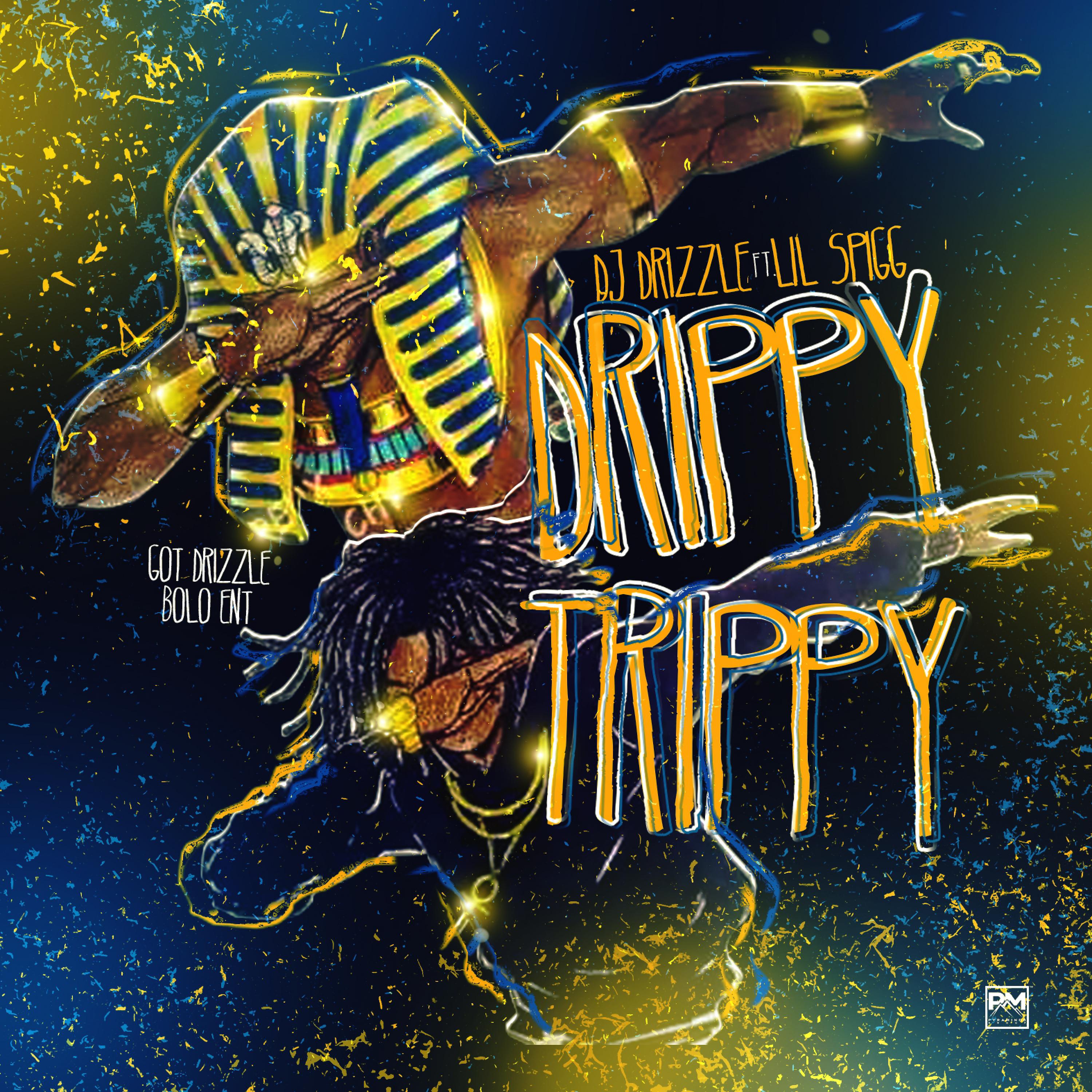 Постер альбома Drippy Trippy (feat. Lil Spigg)
