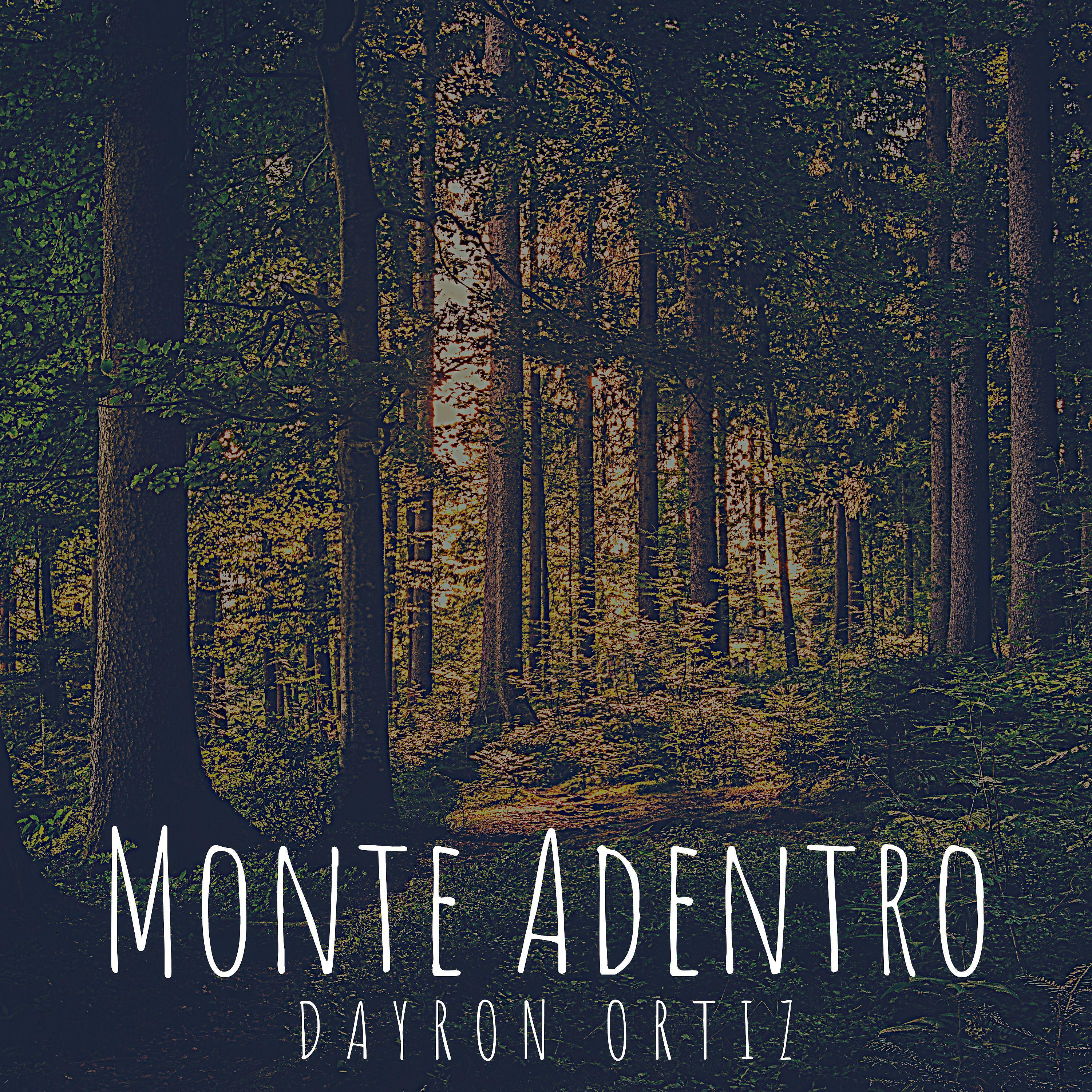 Постер альбома Monte Adentro