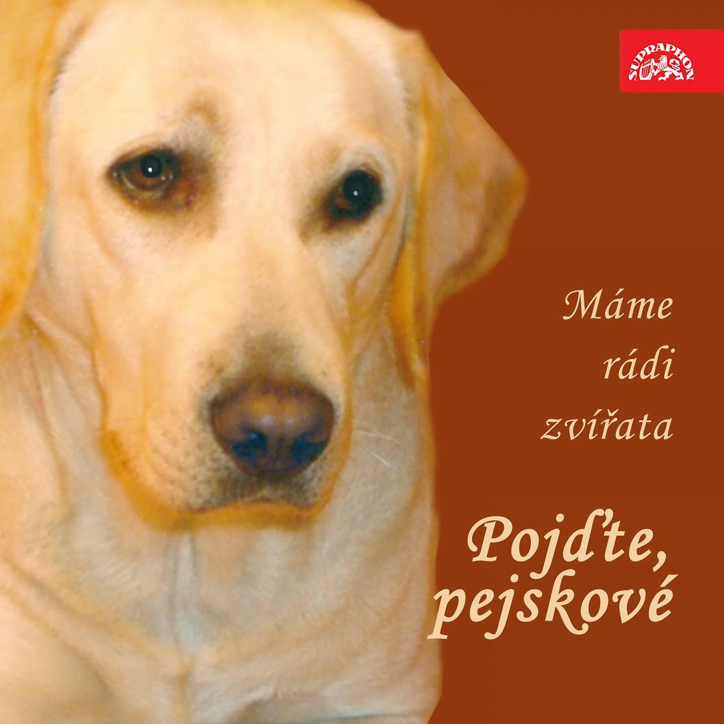 Постер альбома Pojďte, Pejskové