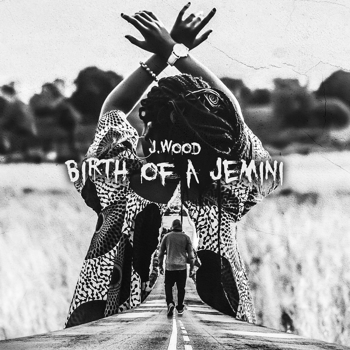 Постер альбома Birth of a Jemini
