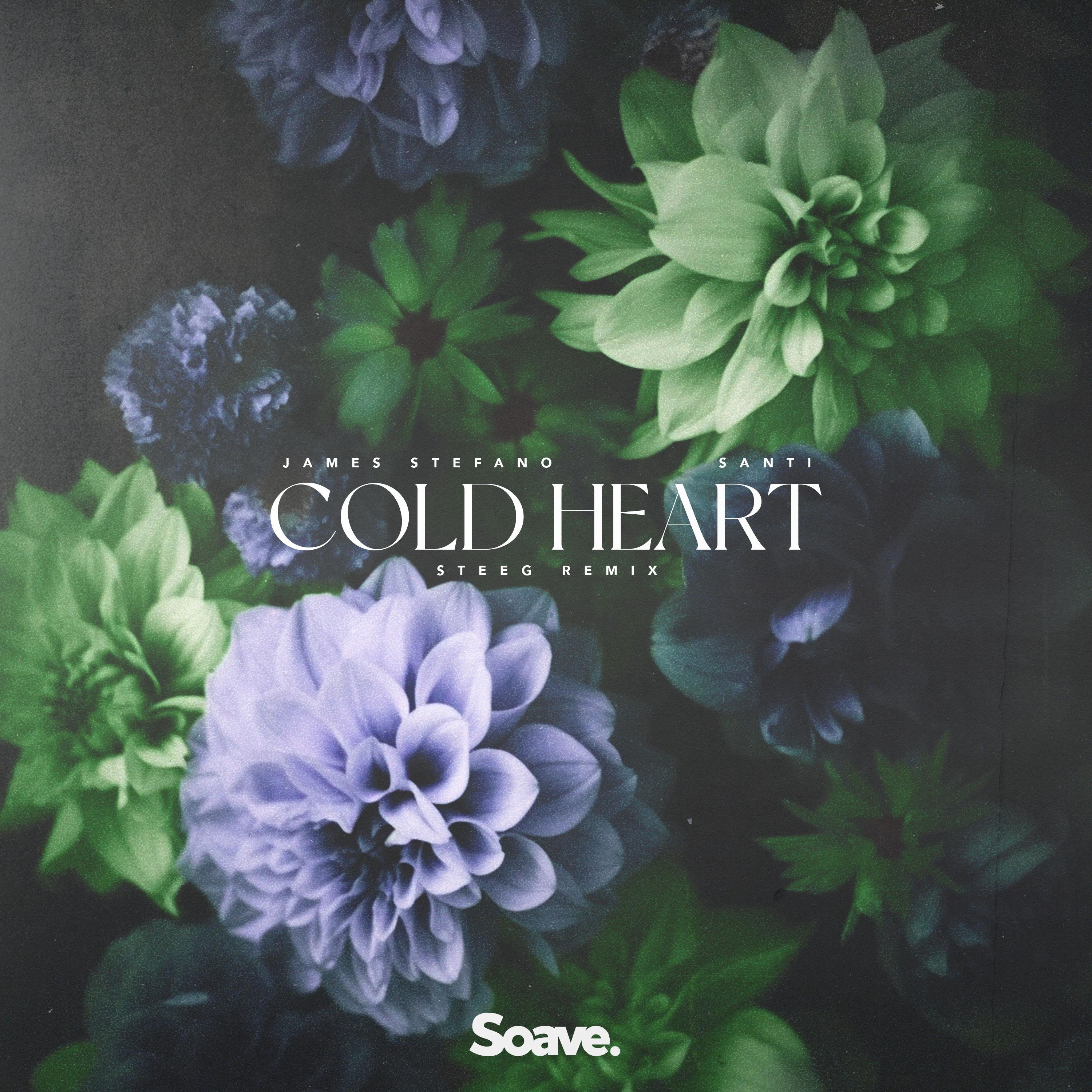 Постер альбома Cold Heart (Steeg Remix)