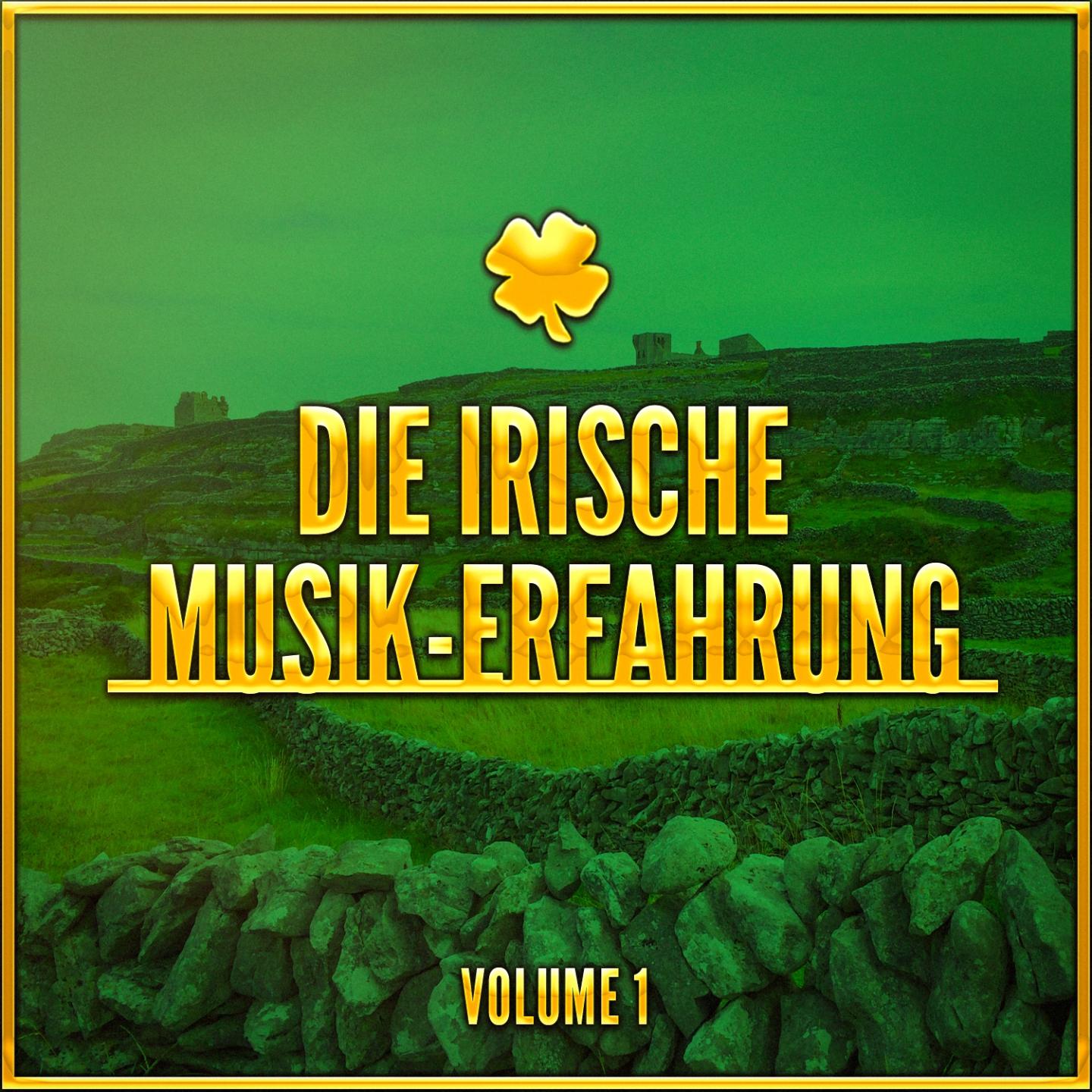Постер альбома Die Irische Musik-Erfahrung, Vol. 1 (Eine Auswahl traditioneller Musik aus Irland)