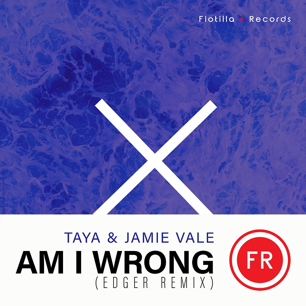 Постер альбома Am I Wrong (EDGER Remix)
