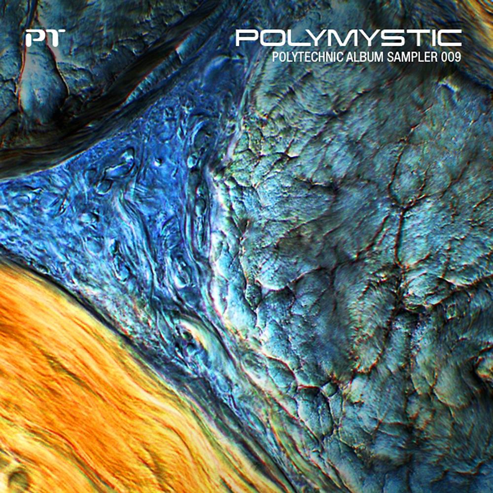 Постер альбома Polymystic - Polytechnic Album Sampler 009