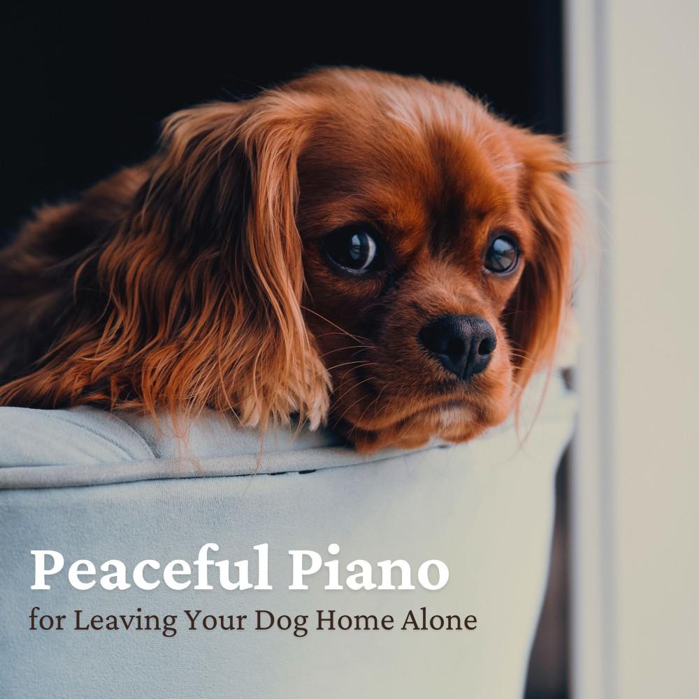 Постер альбома Peaceful Piano for Leaving Your Dog Home Alone