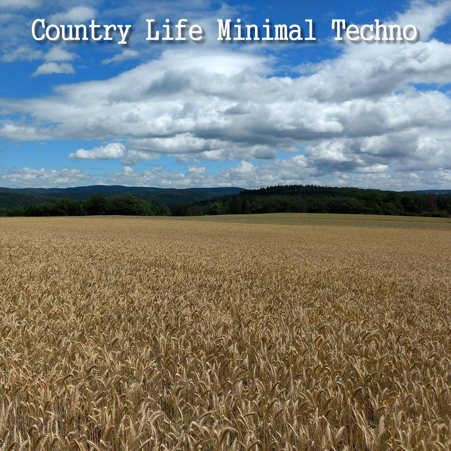 Постер альбома Country Life Minimal Techno