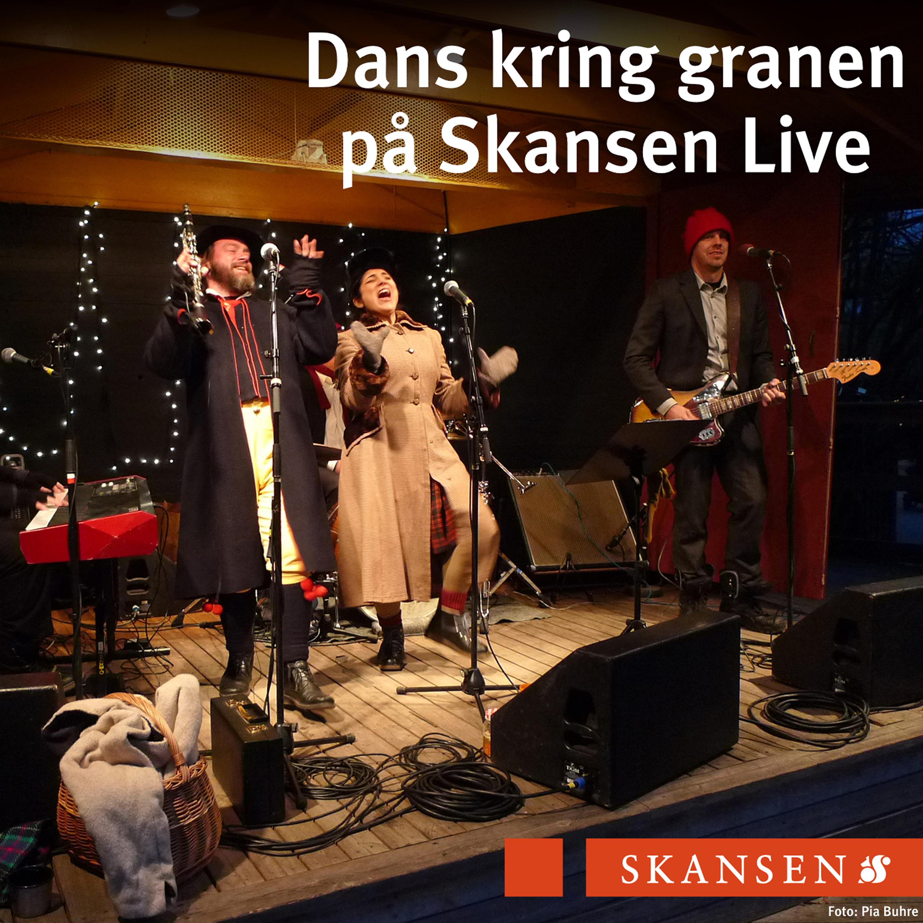 Постер альбома Dans kring granen på Skansen