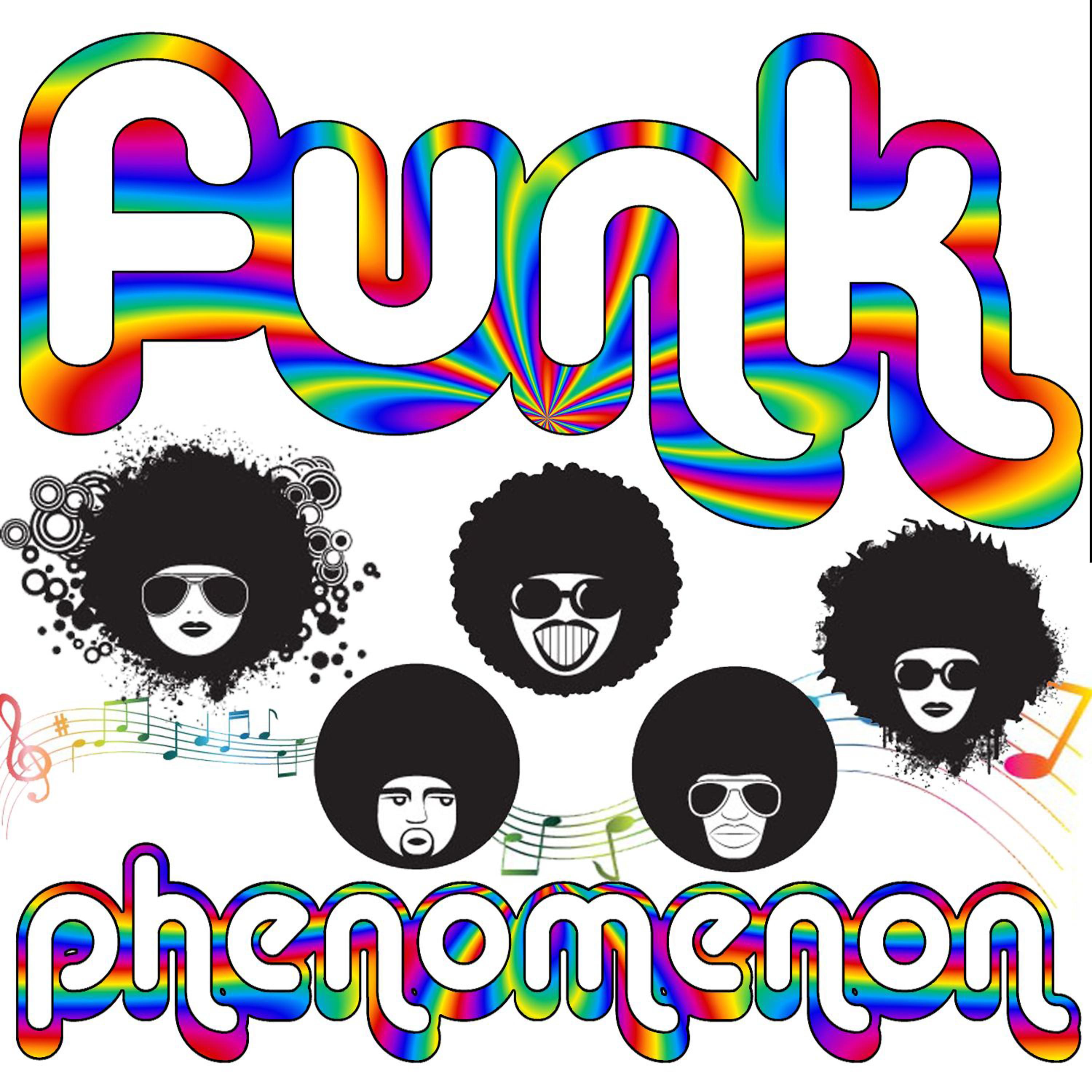 Постер альбома Funk Phenomenon