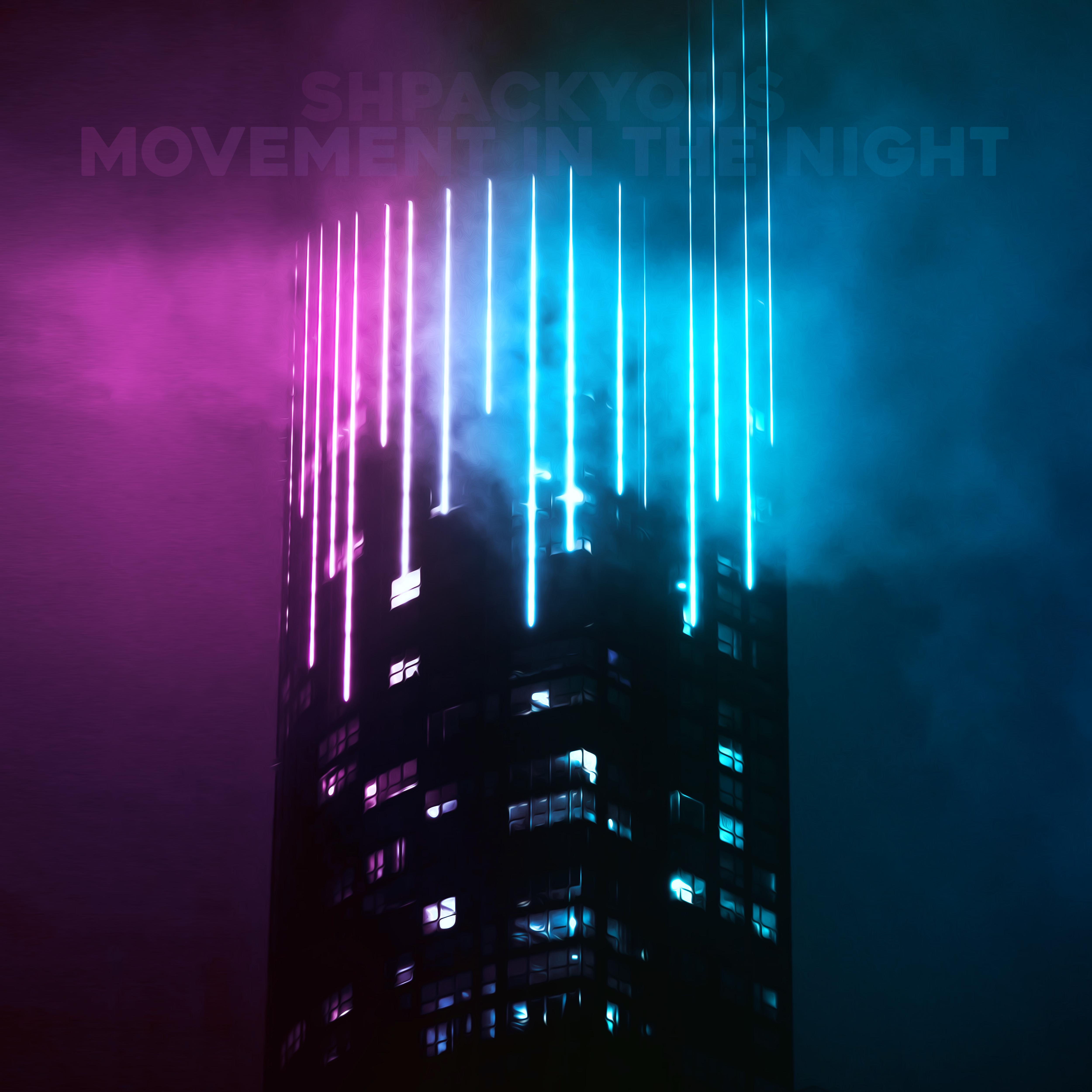 Постер альбома Movement in the Night