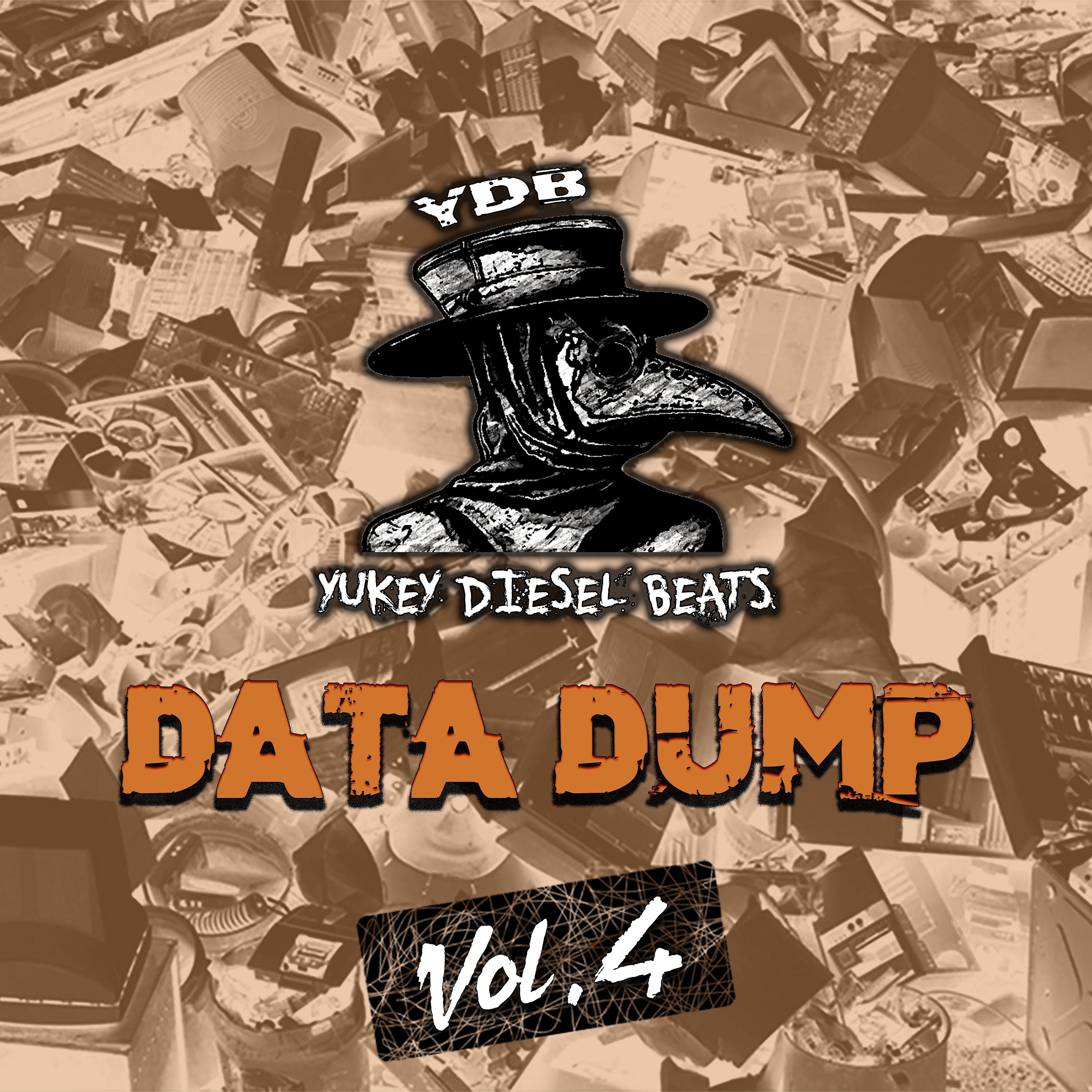 Постер альбома Data Dump, Vol. 4