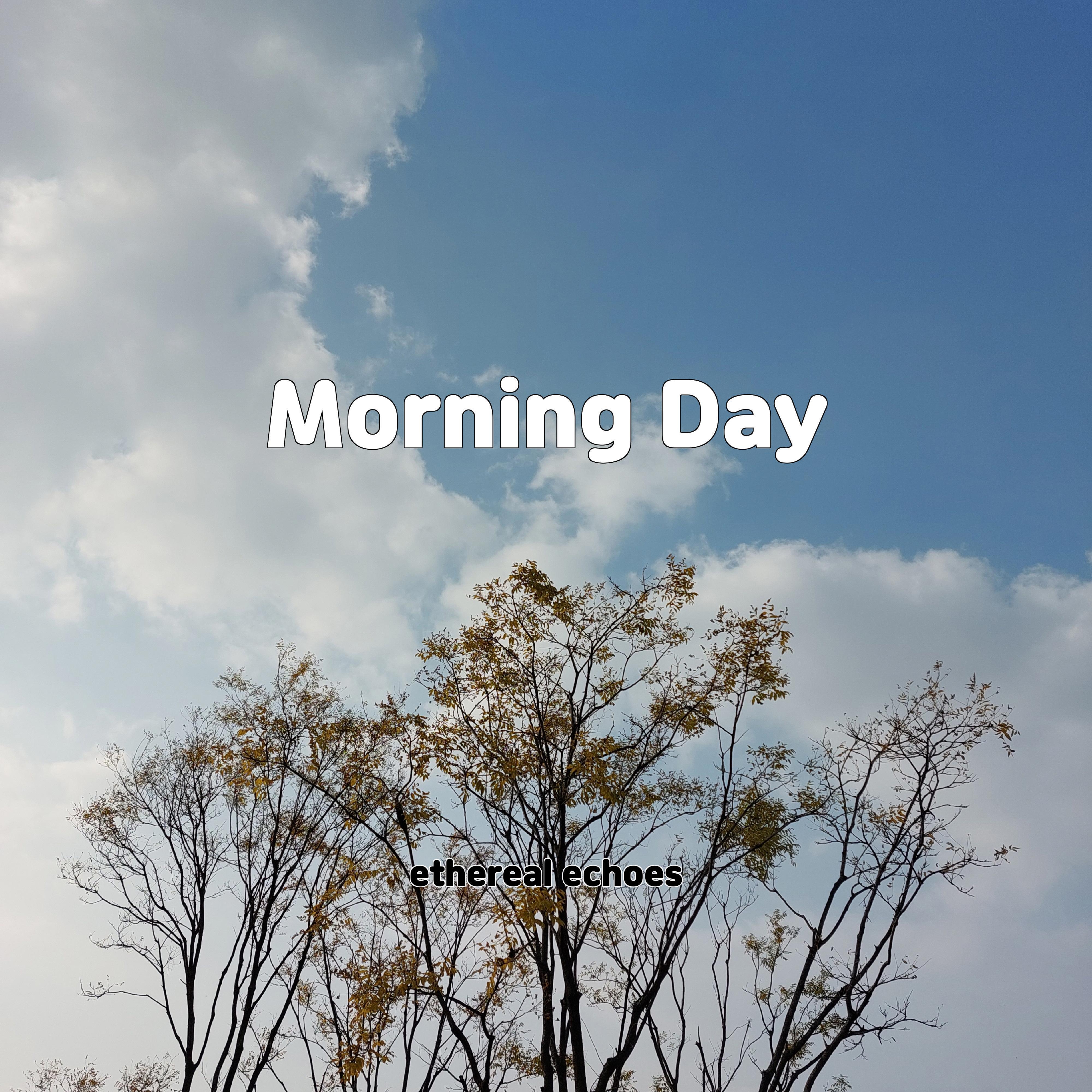 Постер альбома Morning Day