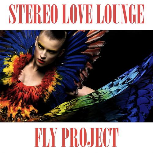 Постер альбома Stereo Love (Lounge Version)