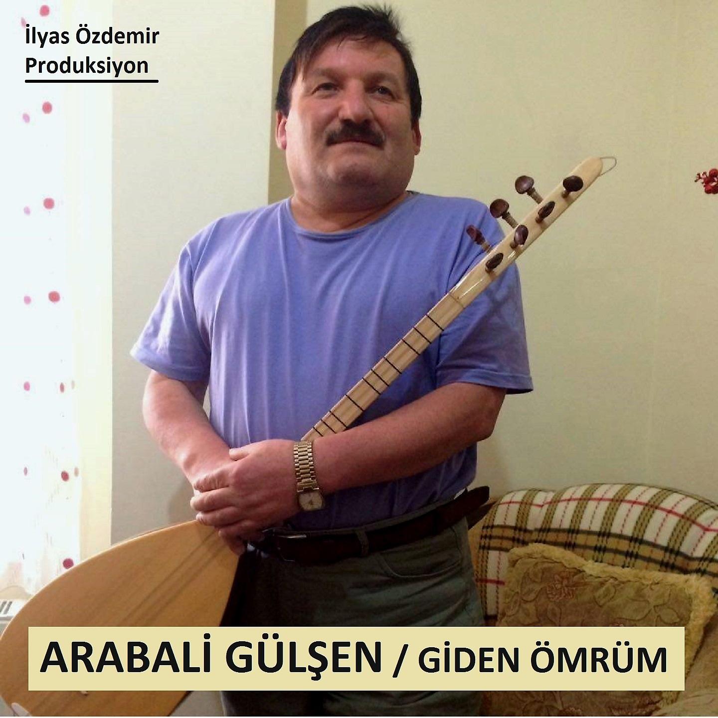 Постер альбома Giden Ömrüm