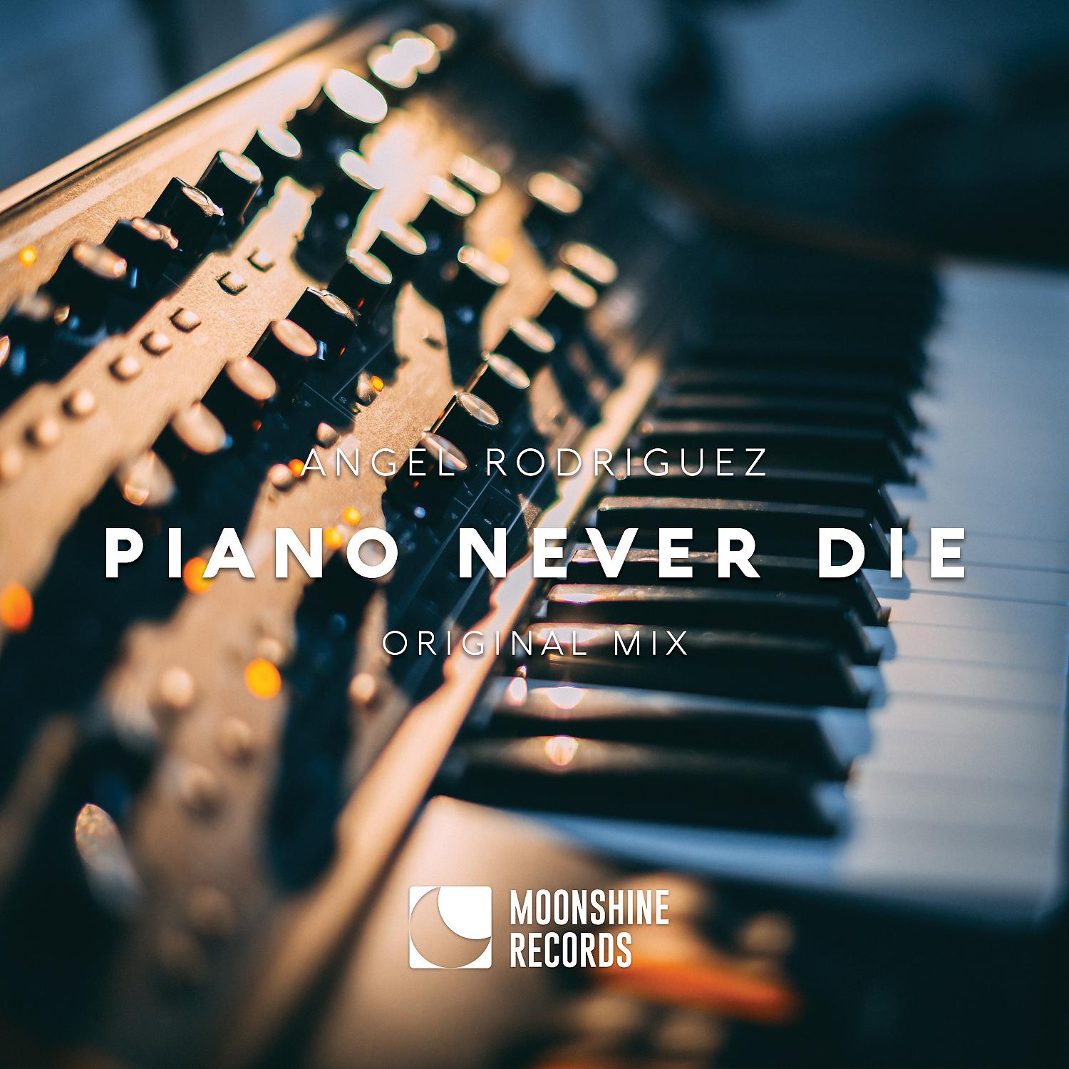 Постер альбома Piano Never Die