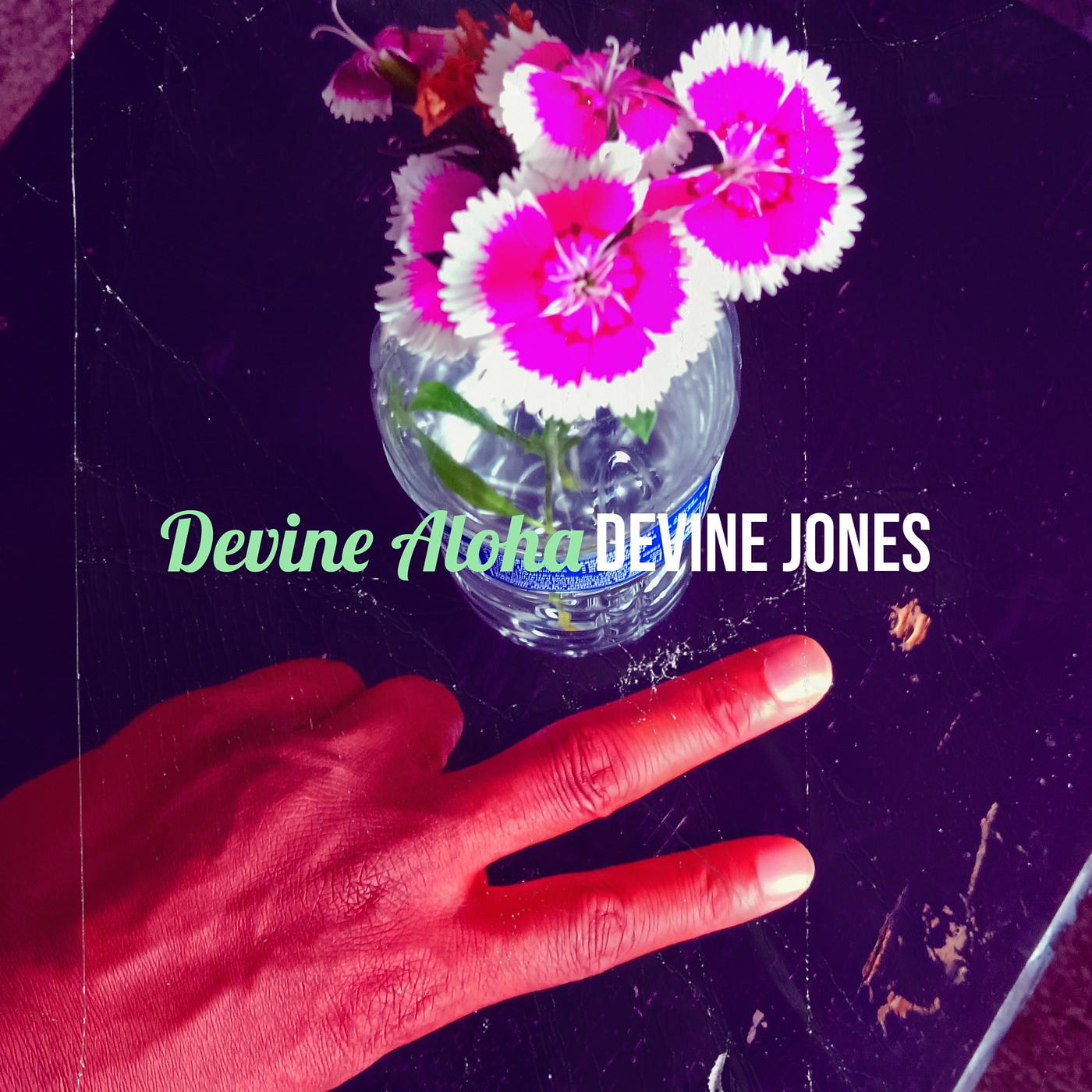 Постер альбома Devine Aloha