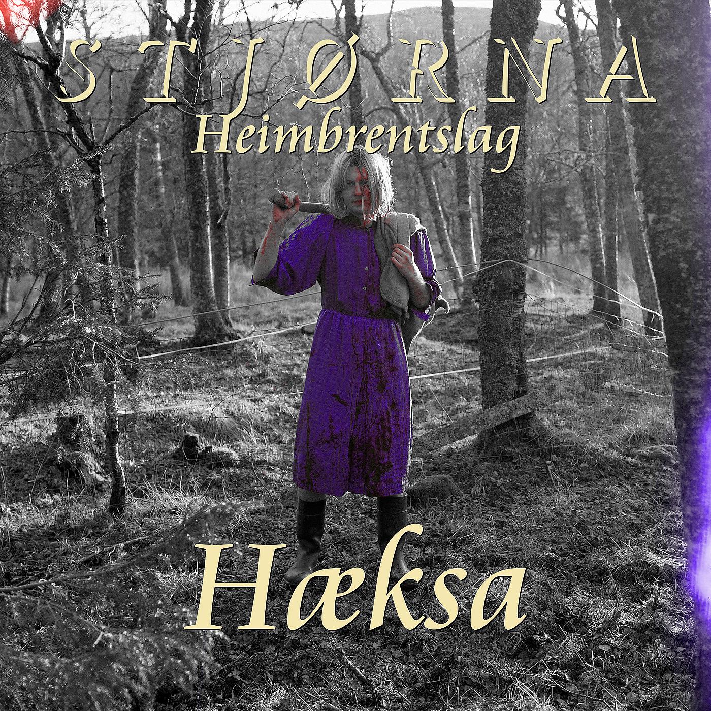 Постер альбома Hæksa