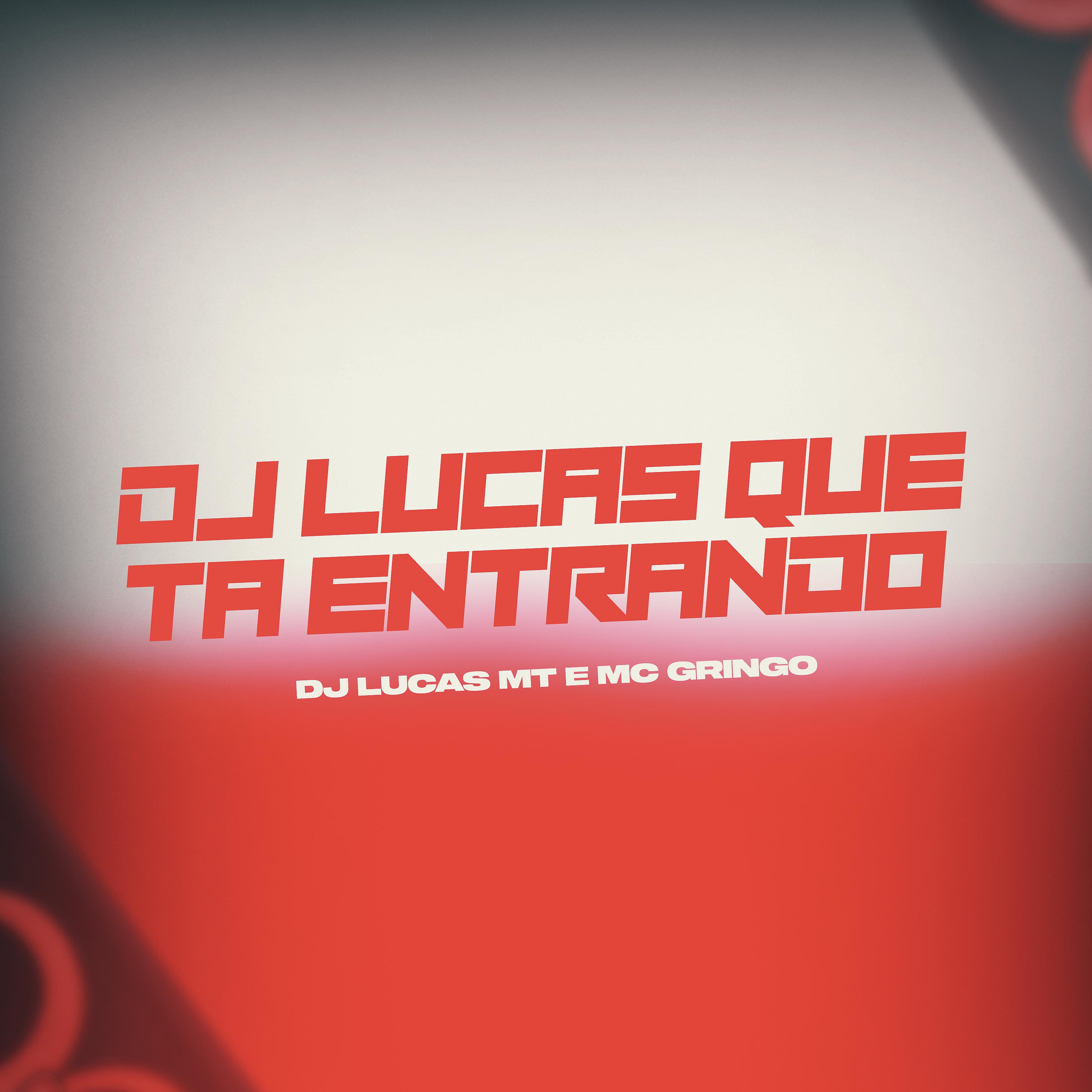 Постер альбома Dj Lucas Que Ta Entrando