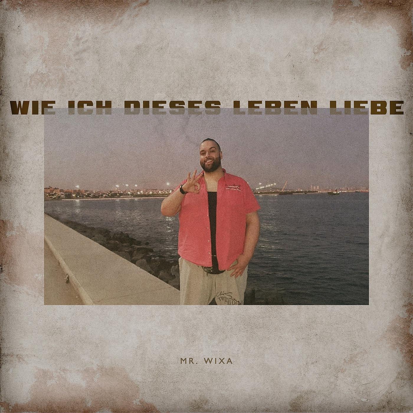 Постер альбома Wie Ich Dieses Leben Liebe
