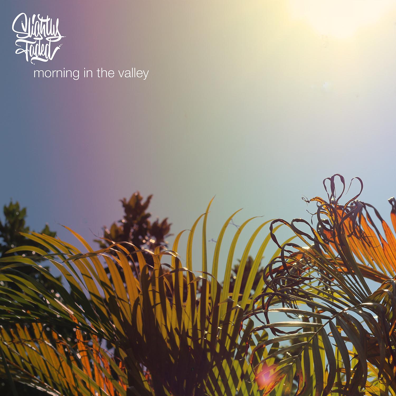 Постер альбома morning in the valley