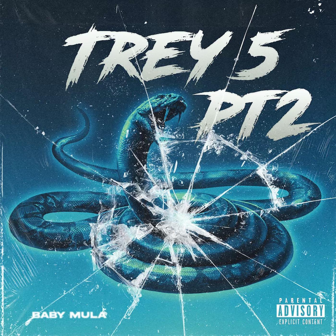 Постер альбома Trey 5, Pt. 2