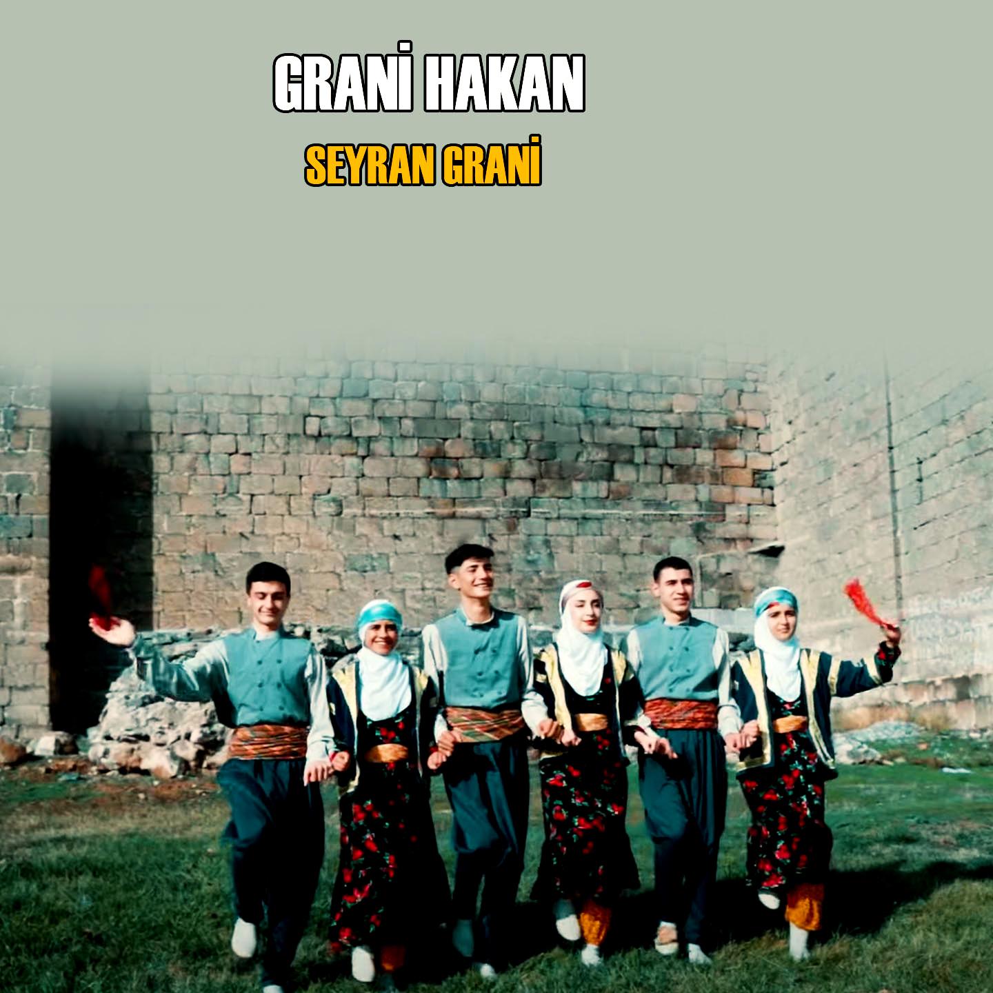 Постер альбома Seyran Grani
