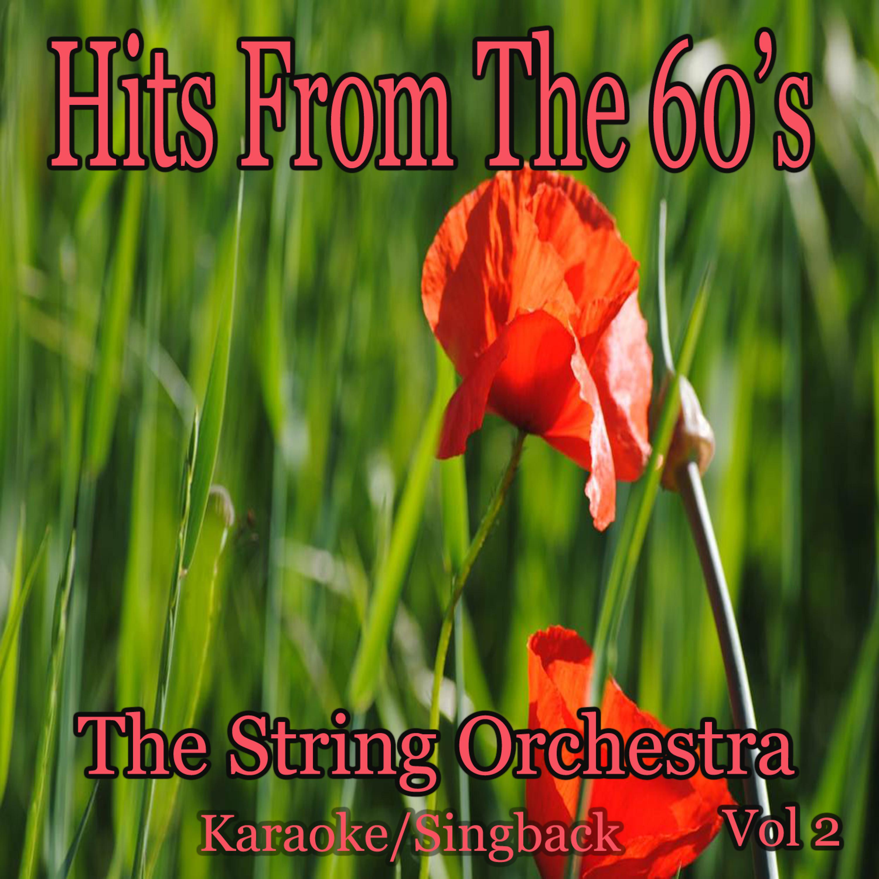 Постер альбома Hits from the 60's/Karaoke/Singback Vol. 2