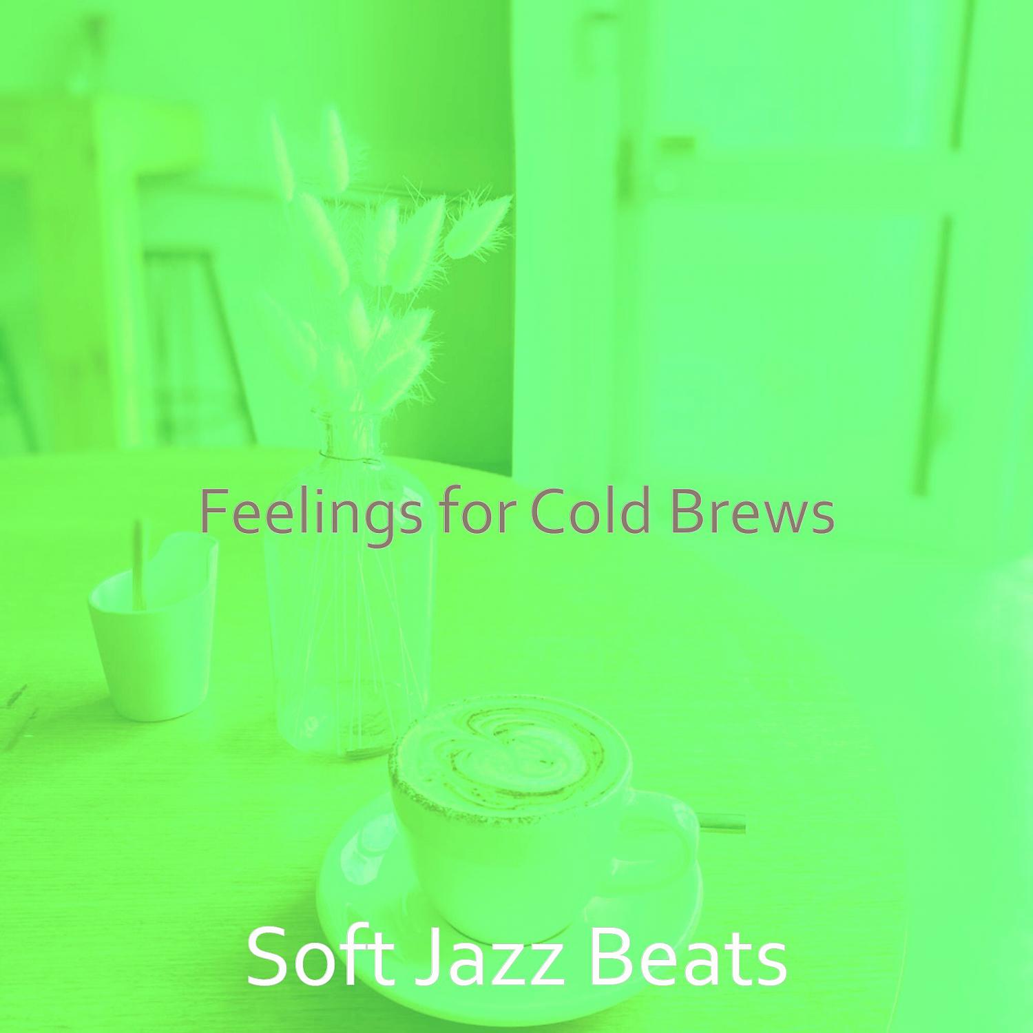 Постер альбома Feelings for Cold Brews