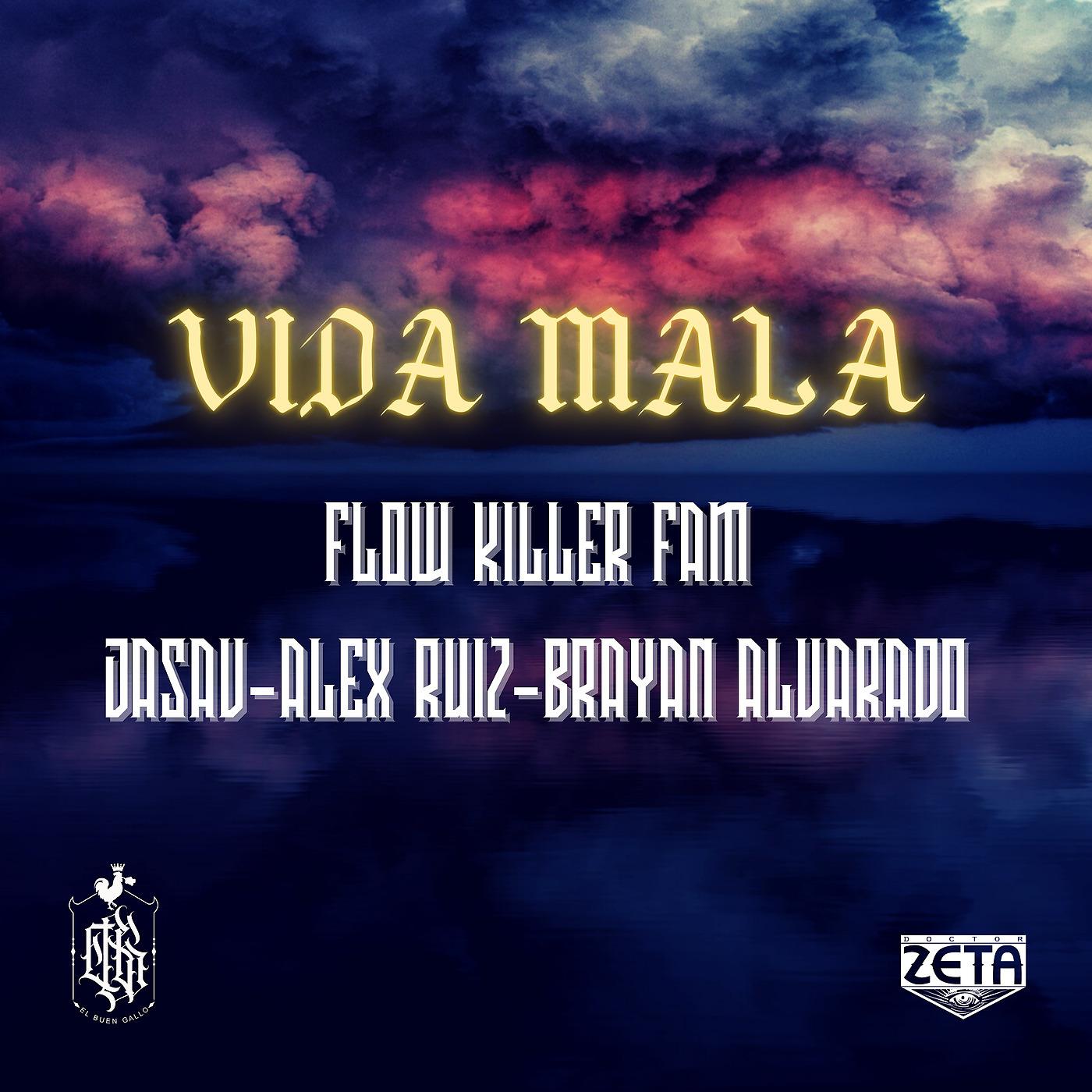 Постер альбома Vida Mala