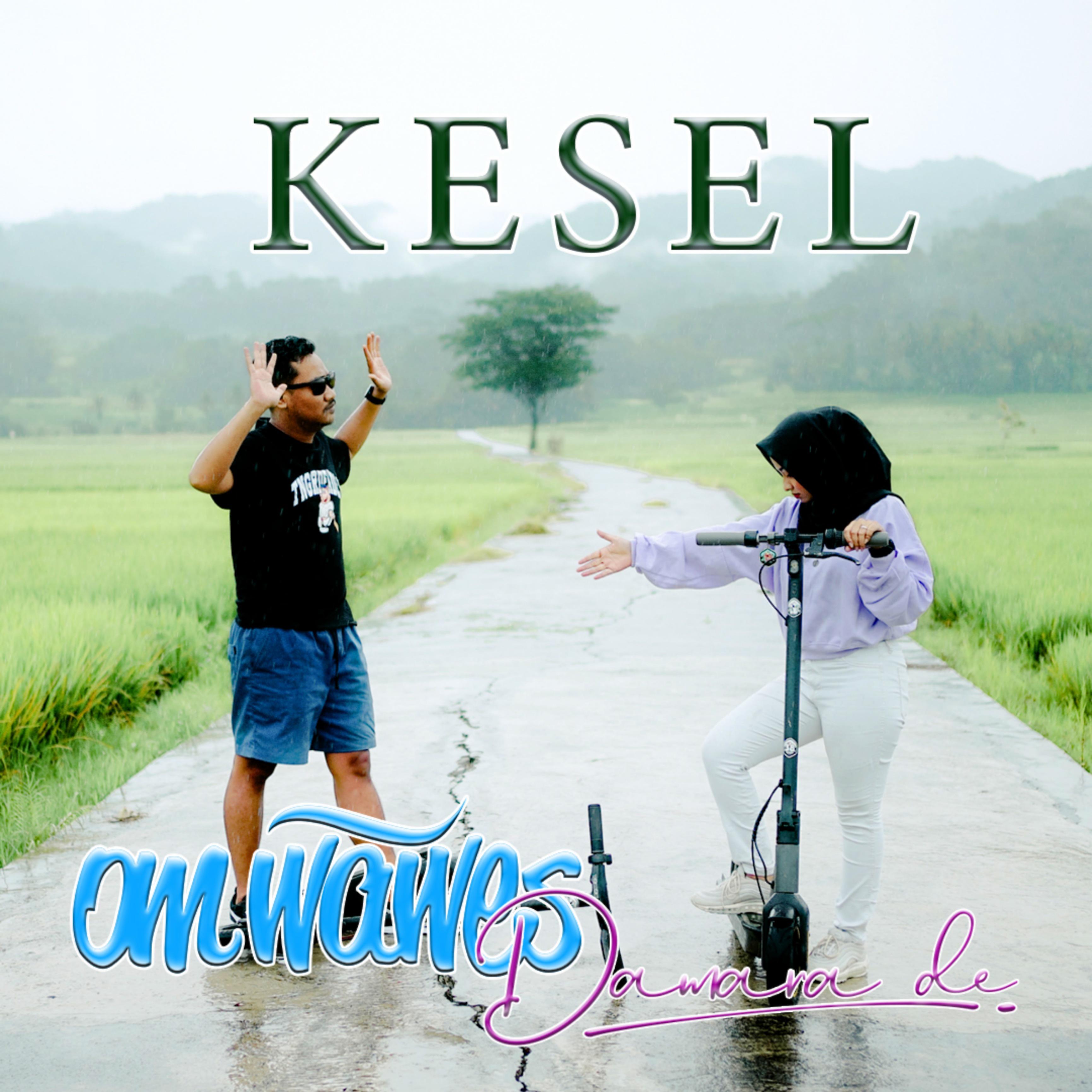 Постер альбома Kesel