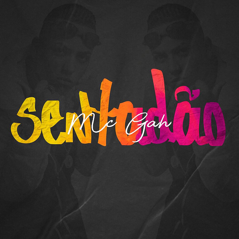 Постер альбома Sentadão