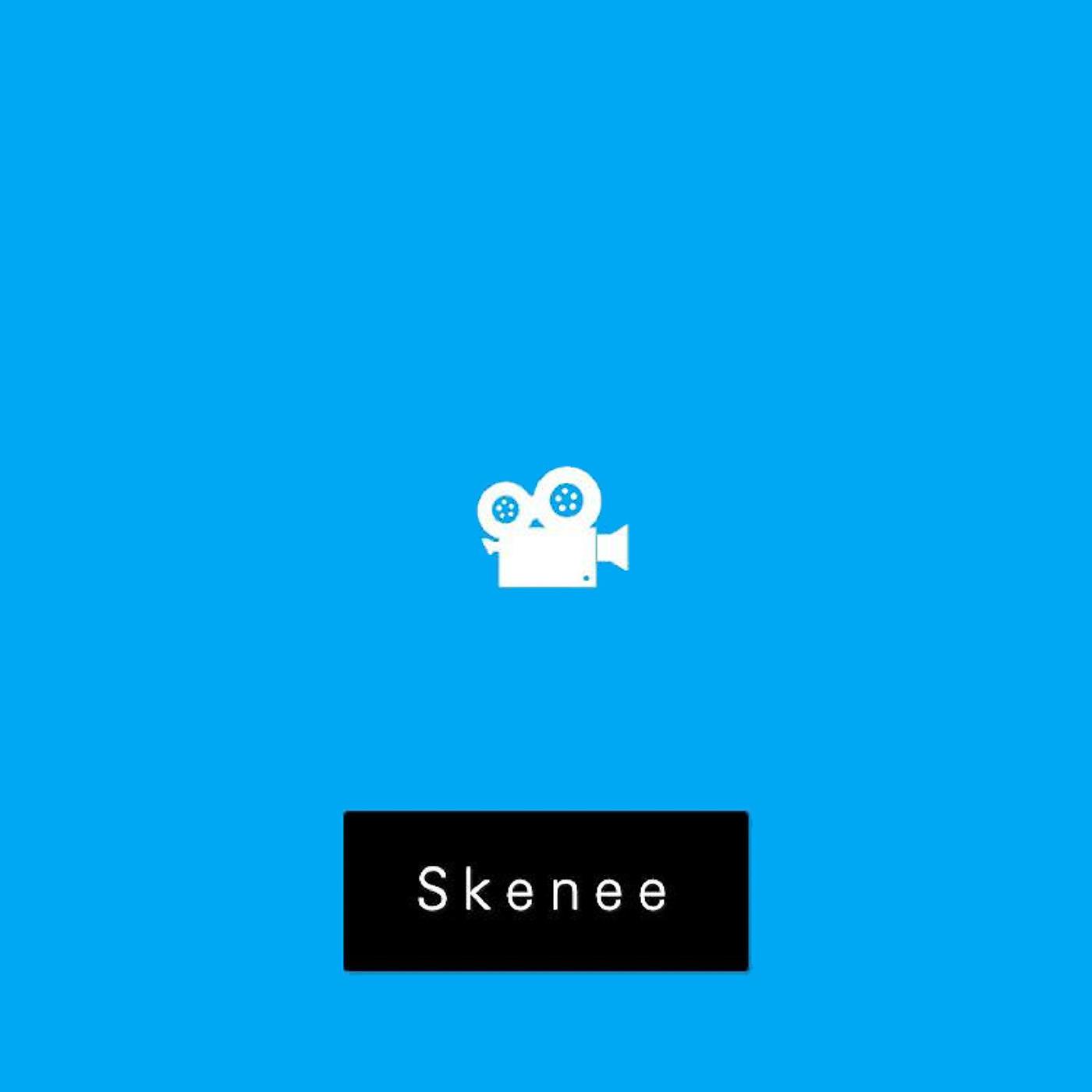 Постер альбома Skenee