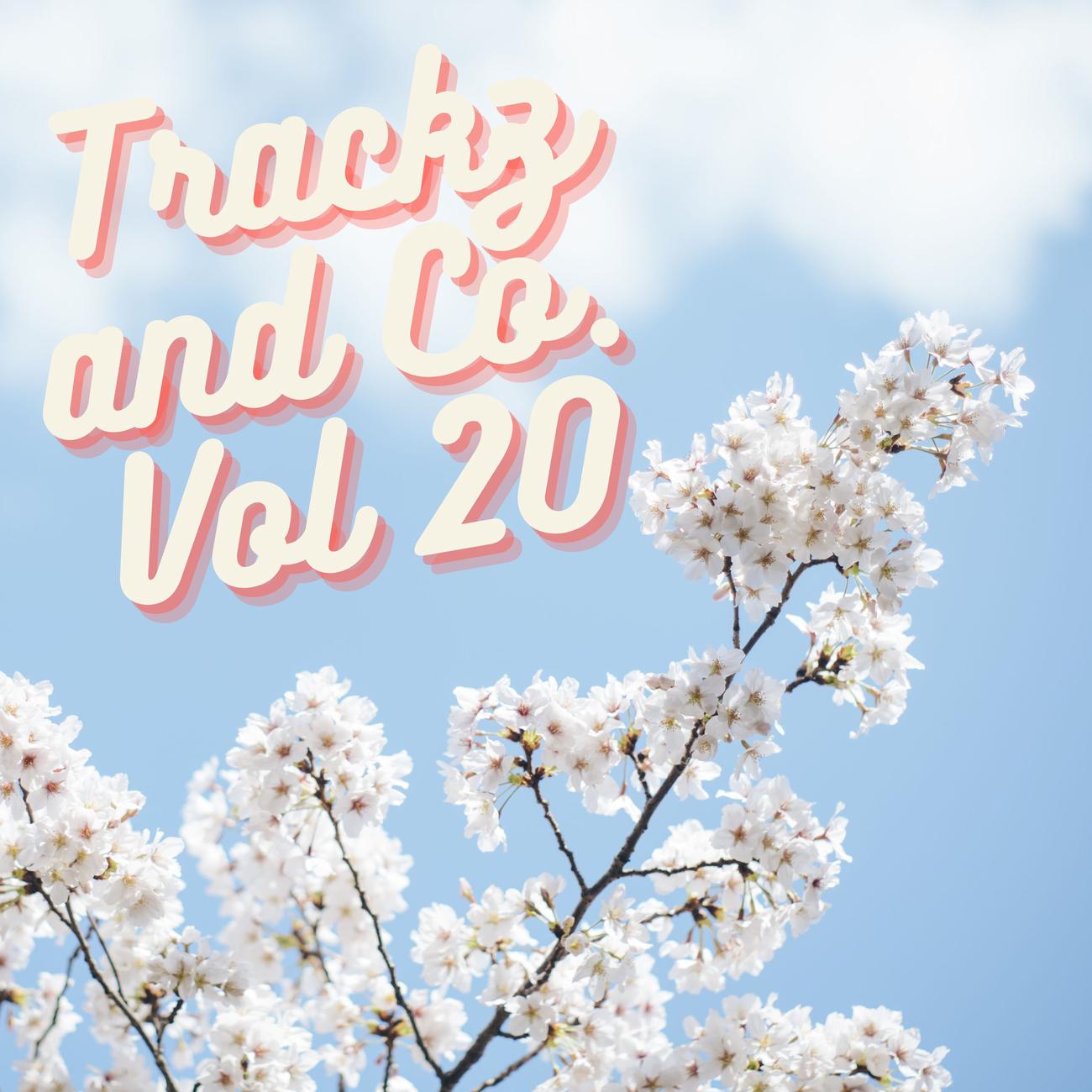 Постер альбома Trackz and Co. Vol 20