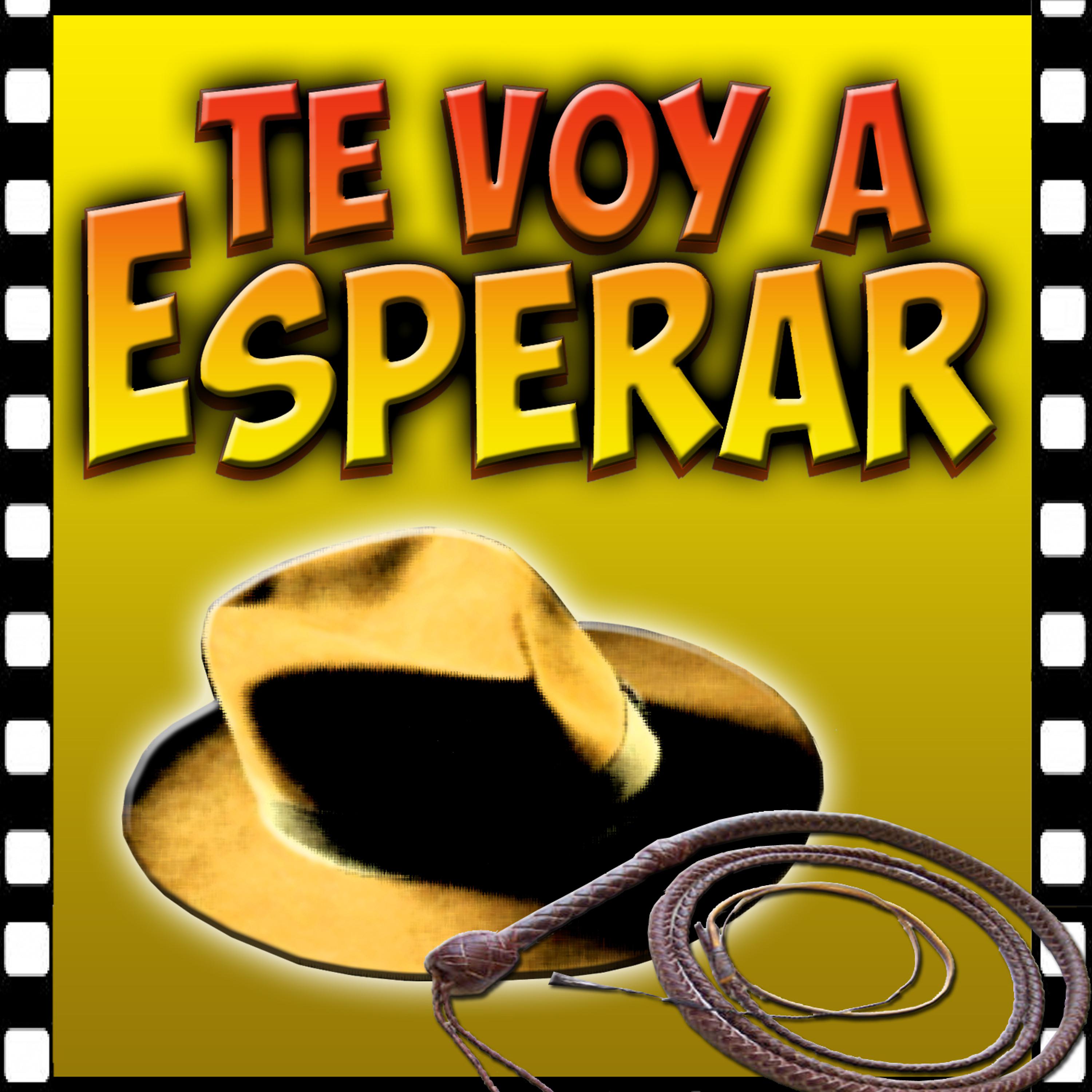 Постер альбома Te Voy a Esperar - Single