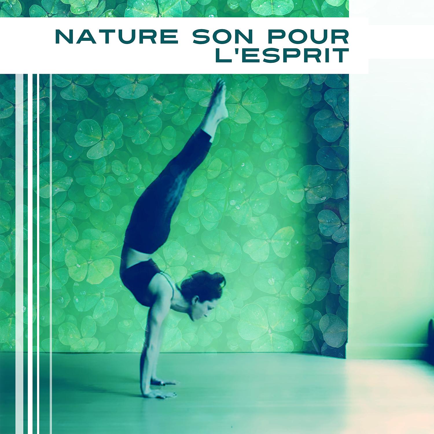 Постер альбома Nature son pour l'esprit - Le meilleur yoga, La nature sonne pour la méditation, Le meilleur repos, Attrape le souffle