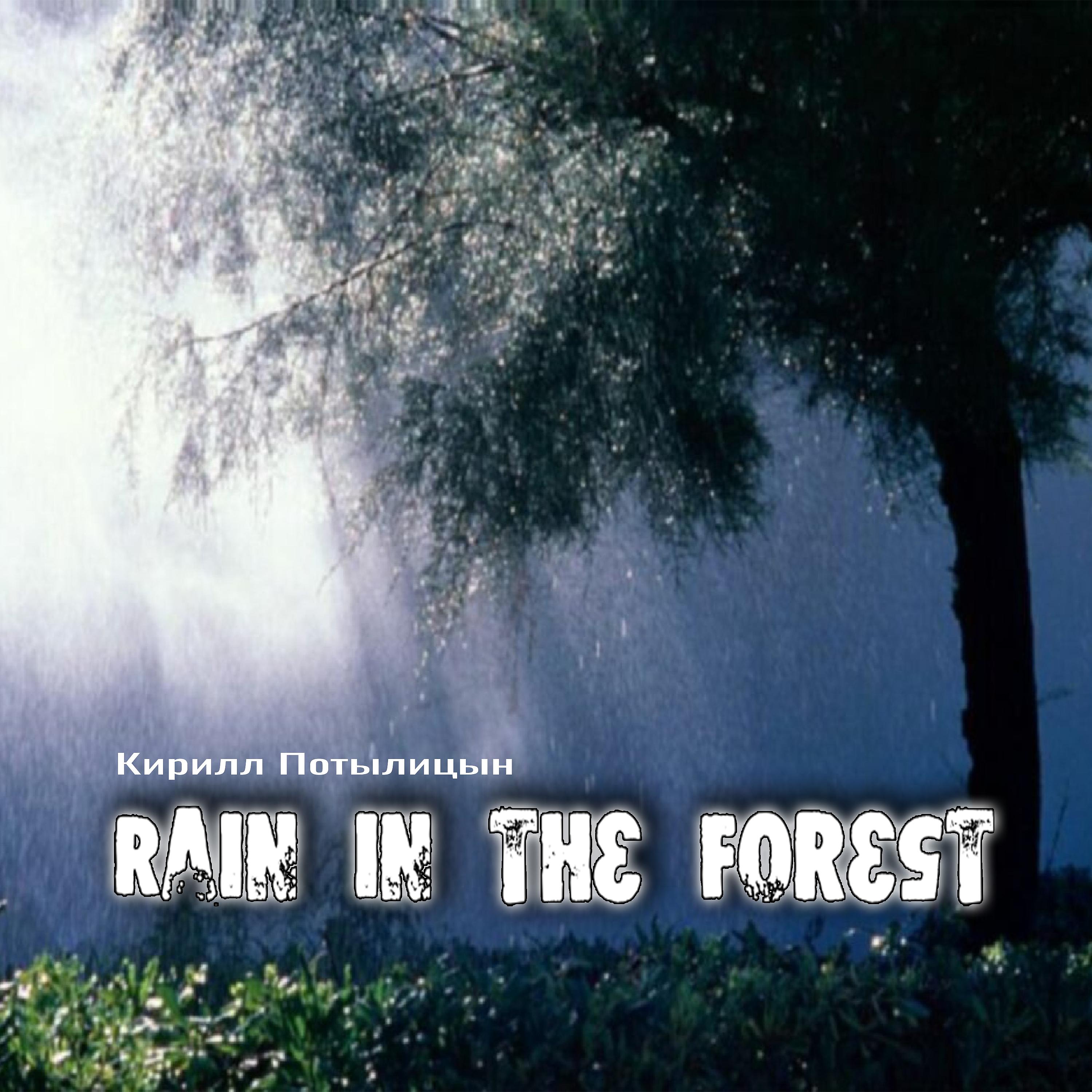 Постер альбома Rain in the Forest